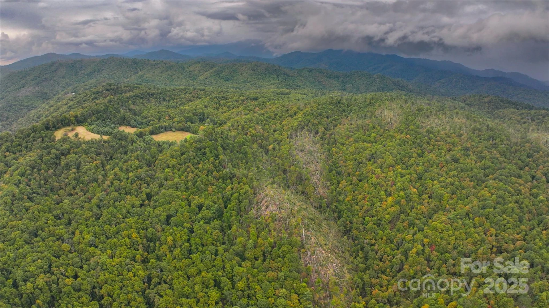 999 Poplar Creek Road - Photo 12