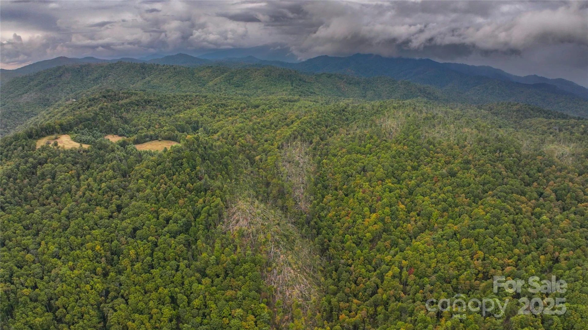 999 Poplar Creek Road - Photo 13