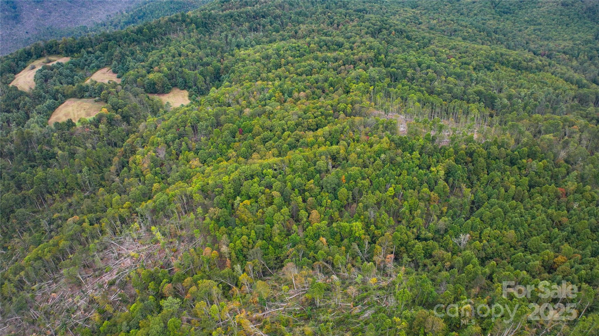 999 Poplar Creek Road - Photo 8