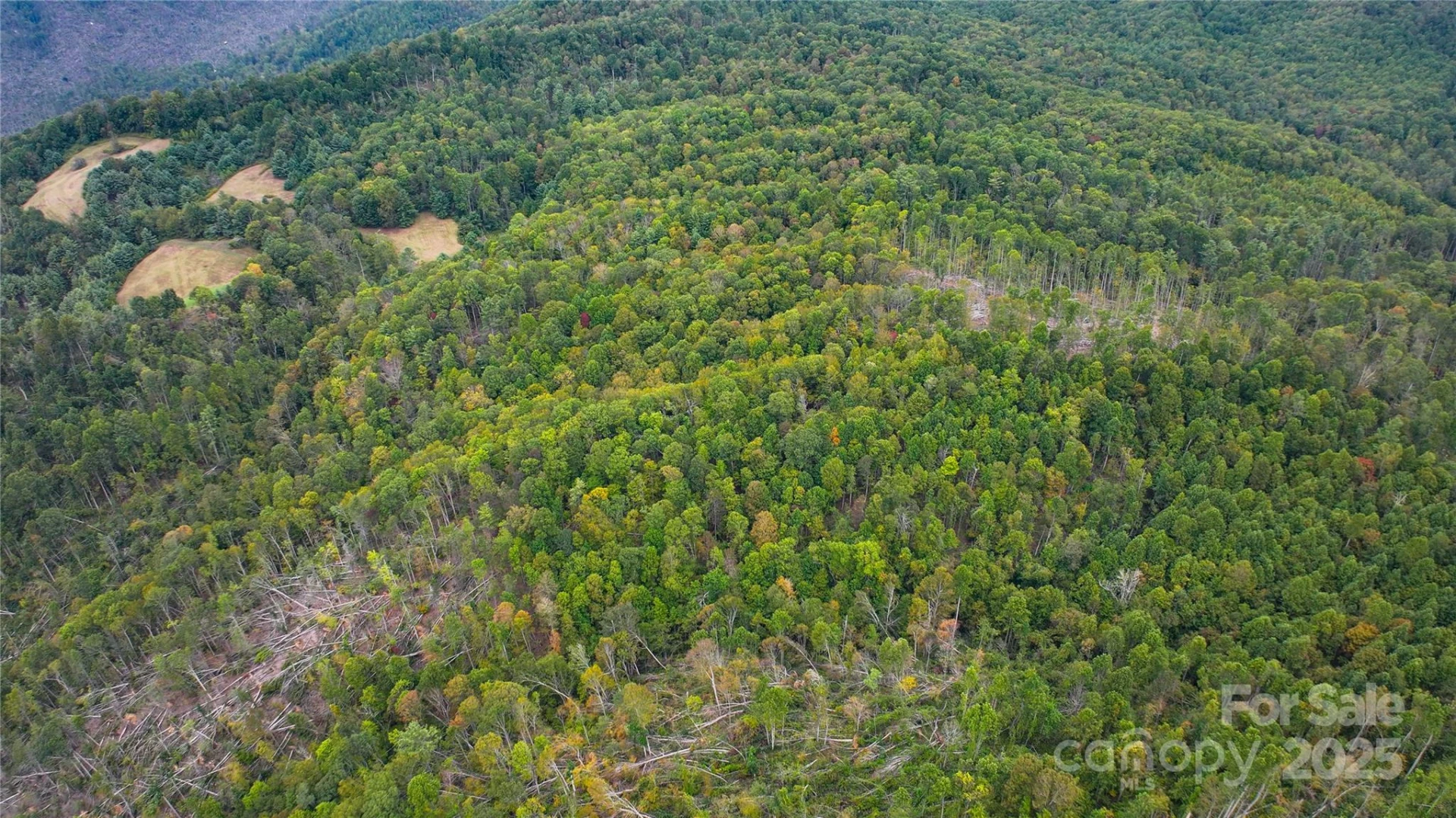 999 Poplar Creek Road - Photo 8