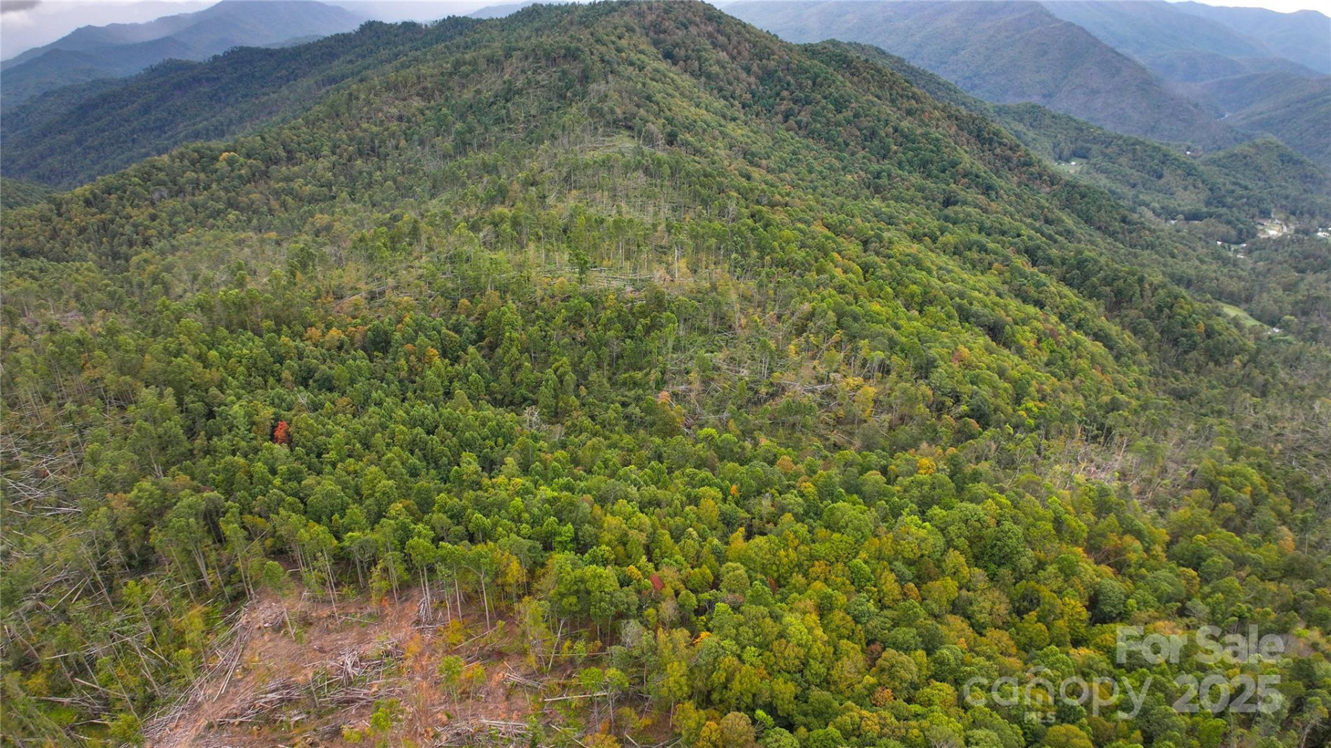 999 Poplar Creek Road - Photo 9