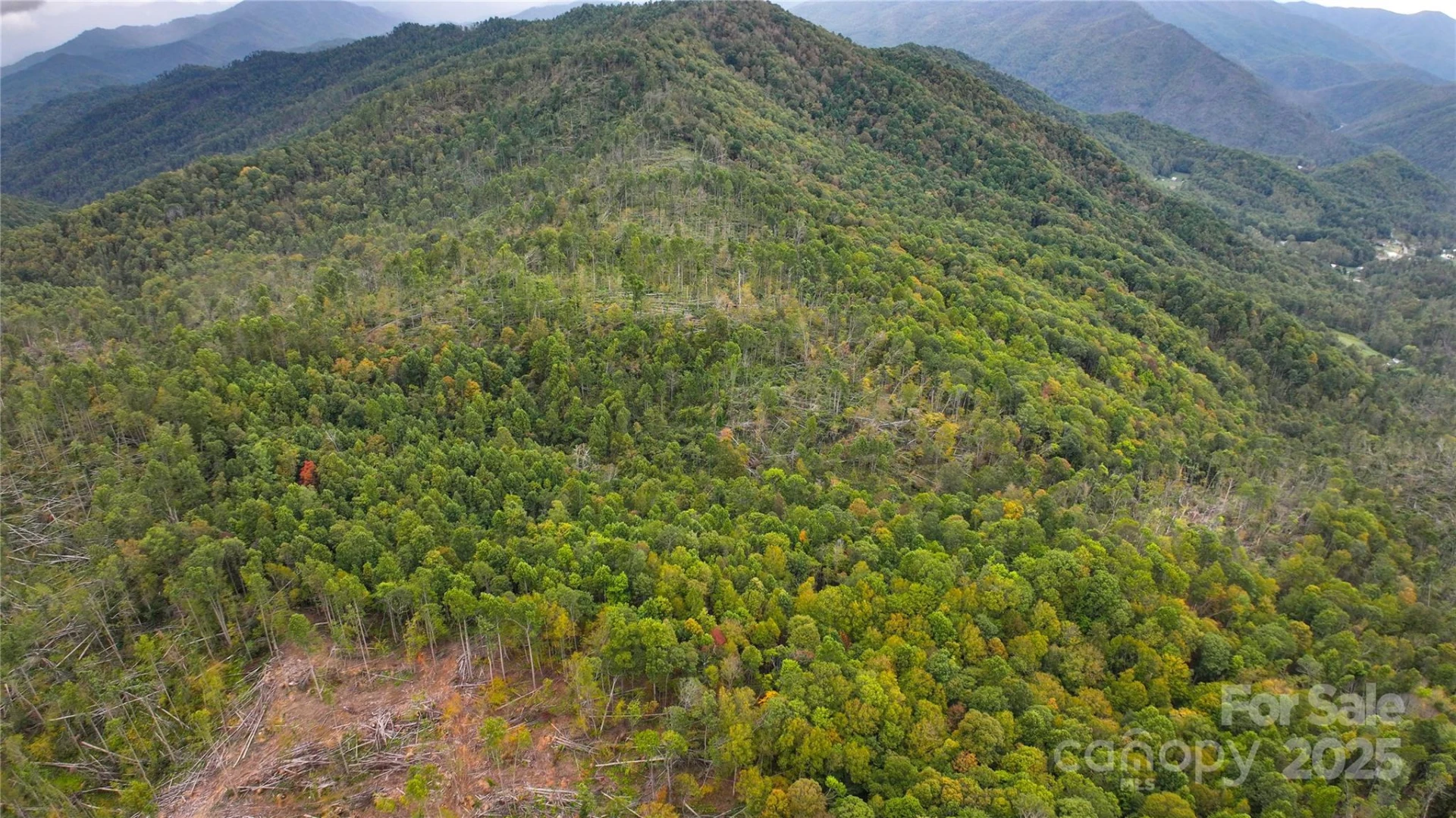 999 Poplar Creek Road - Photo 9
