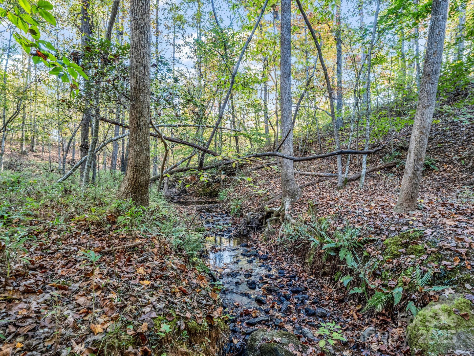 663 Landrum Road - Photo 24