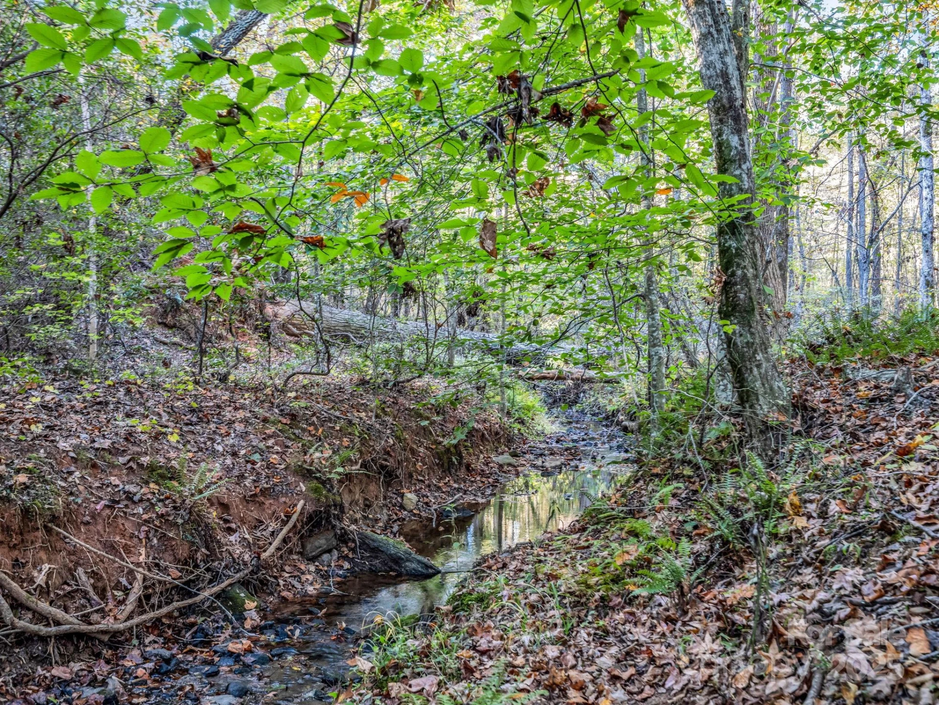 663 Landrum Road - Photo 25