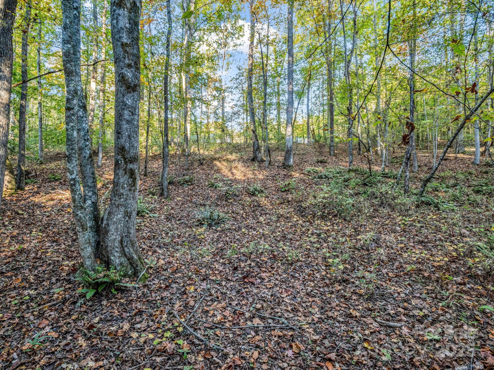 663 Landrum Road - Photo 26