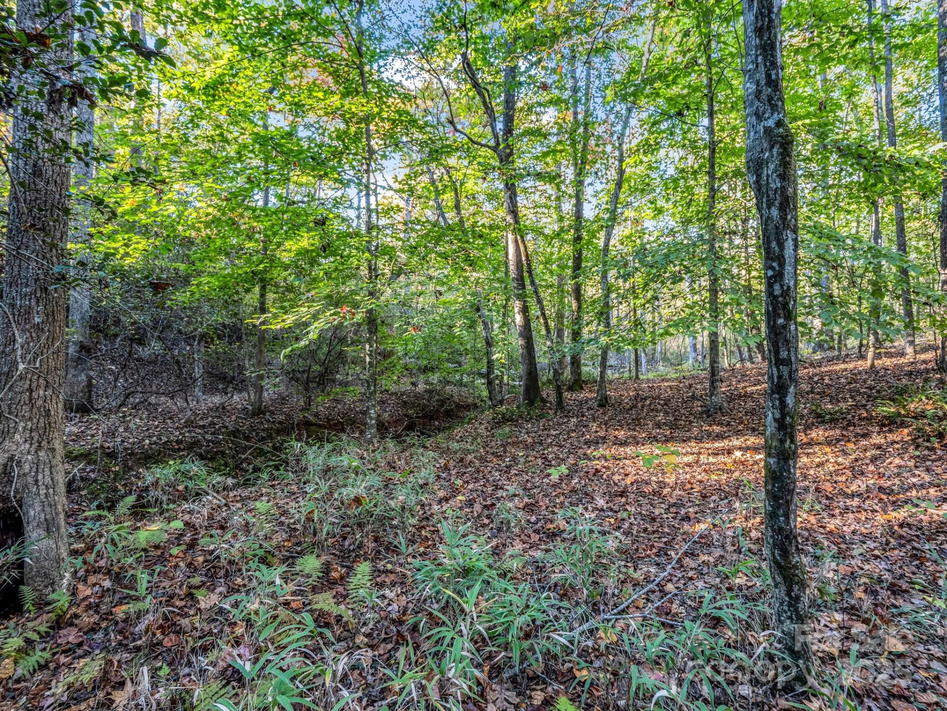 663 Landrum Road - Photo 27