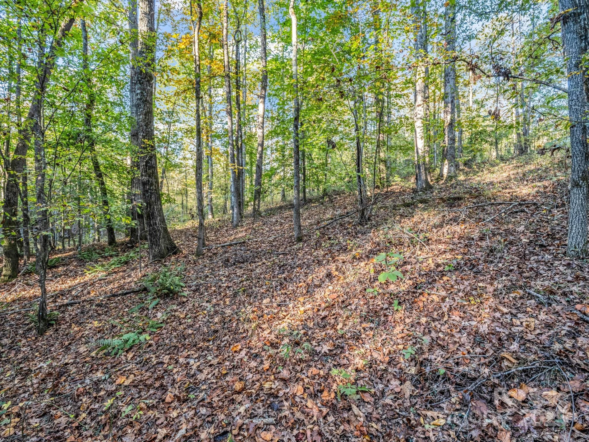 663 Landrum Road - Photo 28