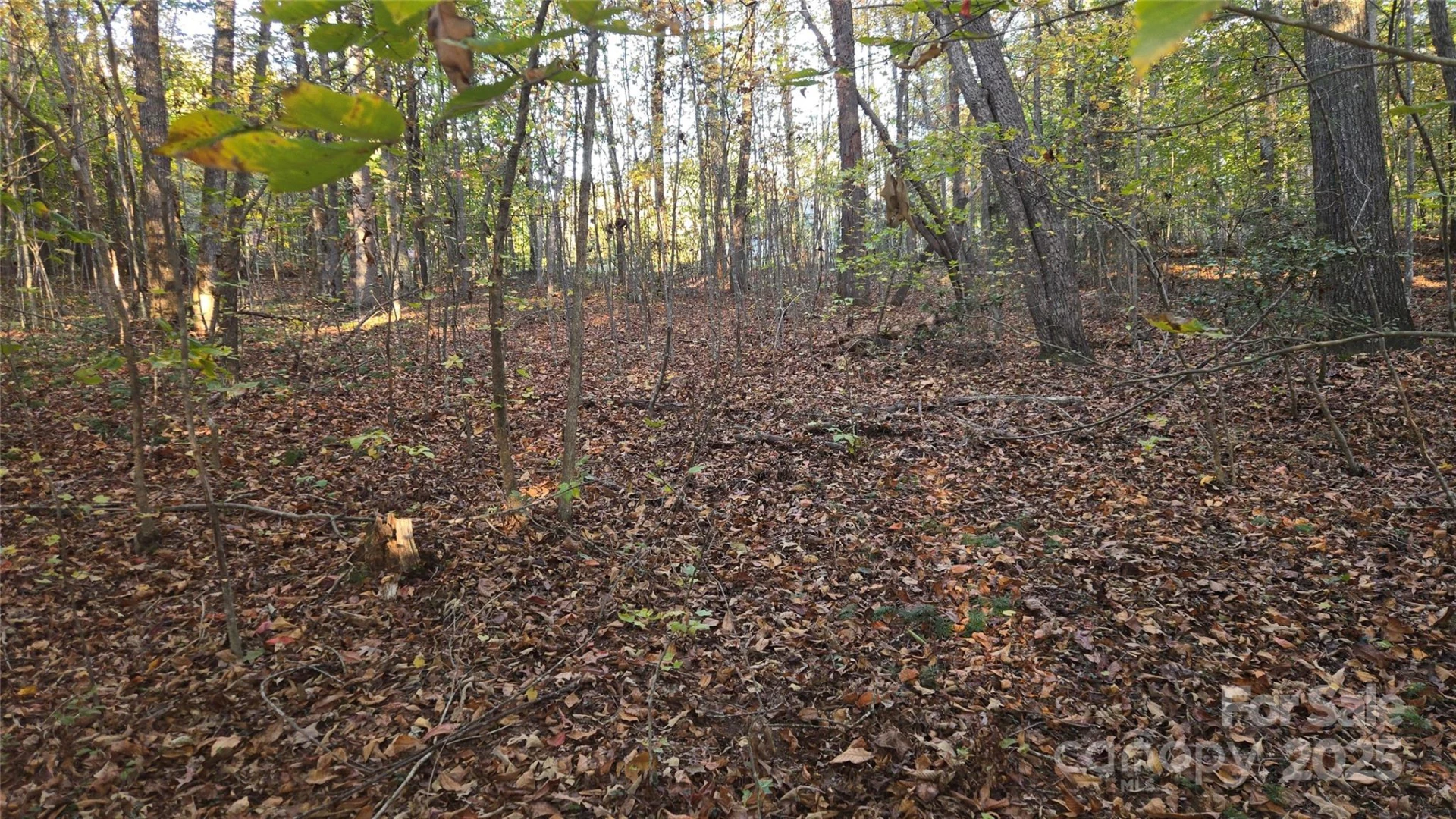 663 Landrum Road - Photo 29