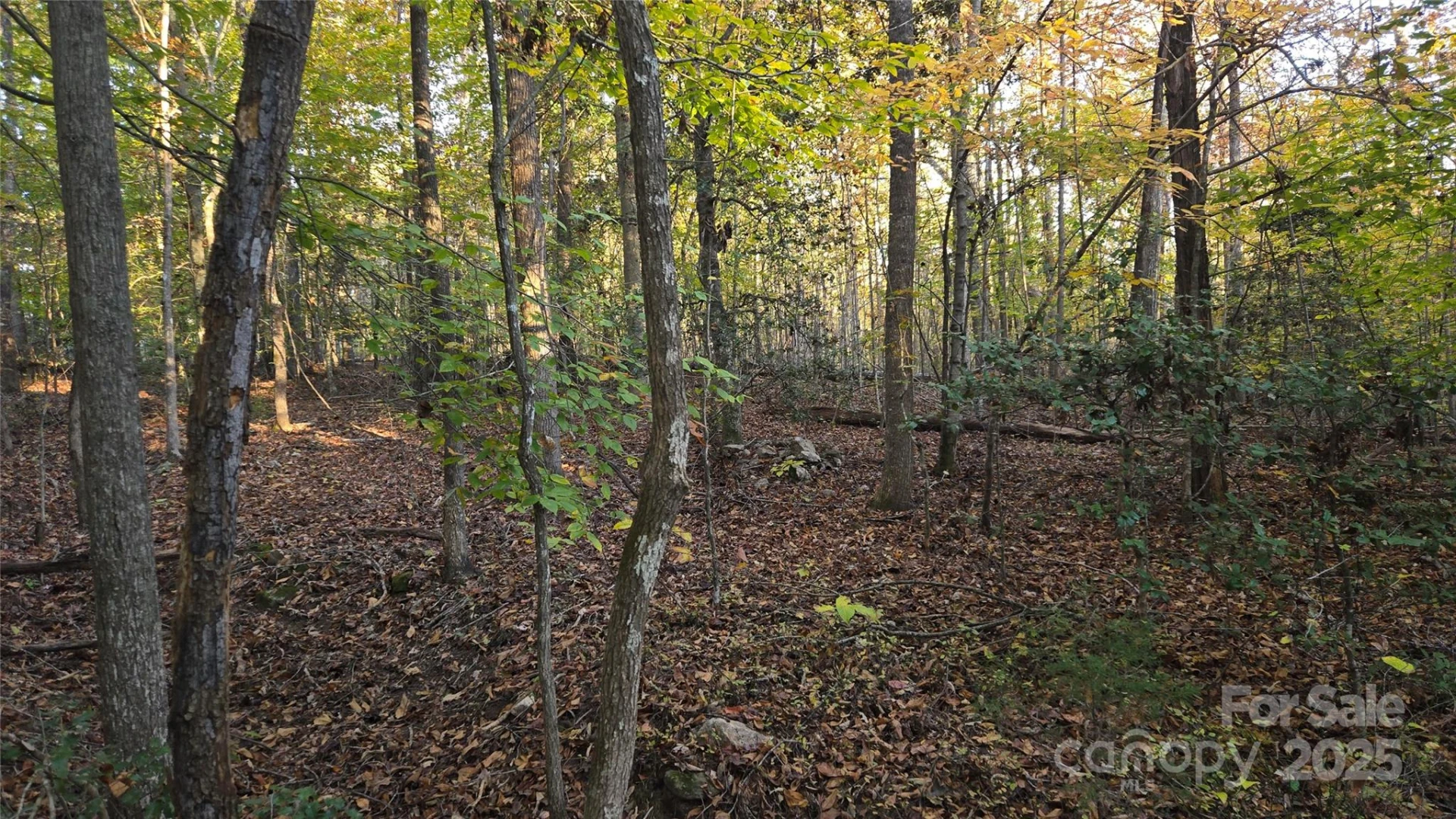 663 Landrum Road - Photo 35