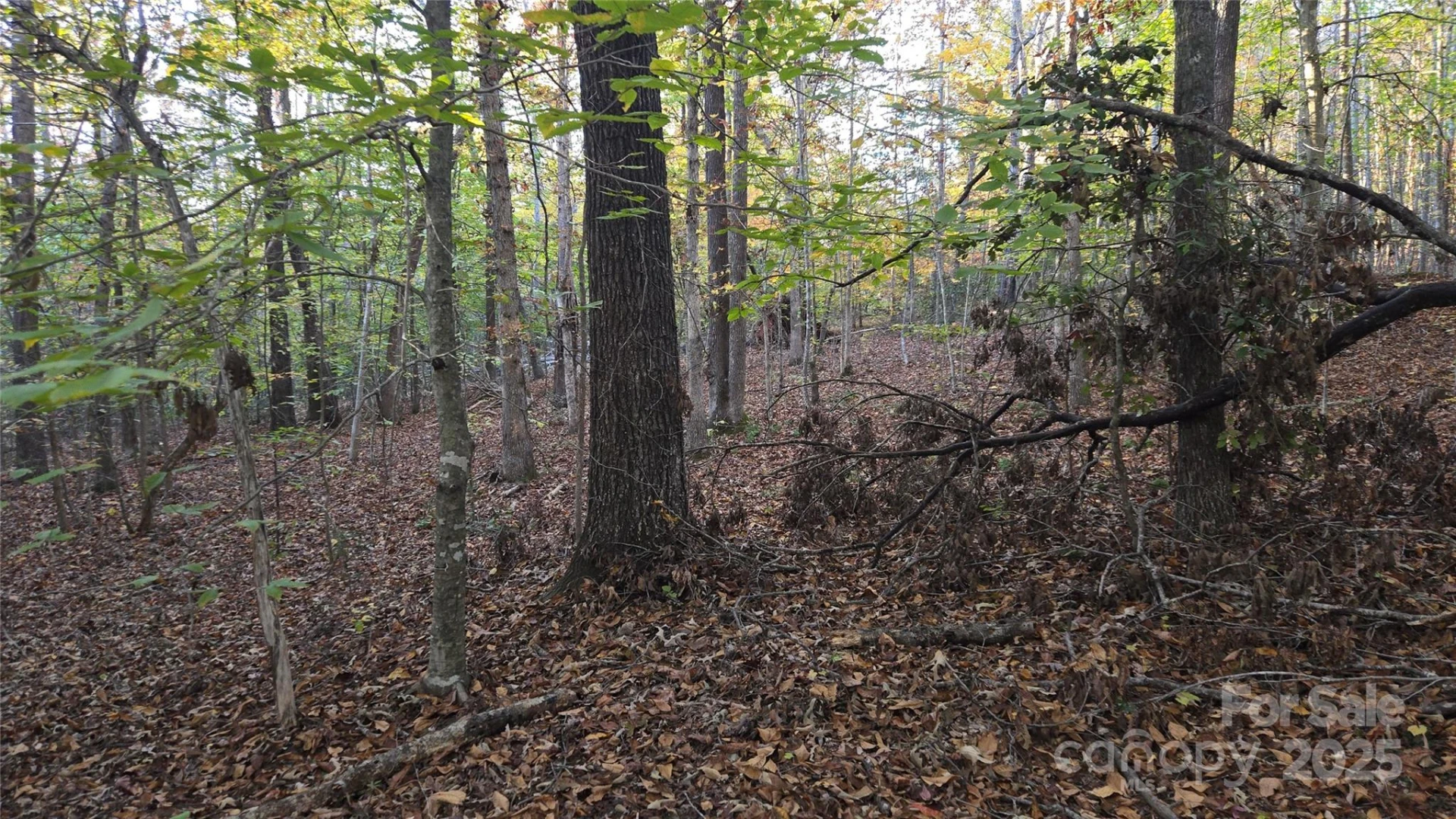 663 Landrum Road - Photo 36