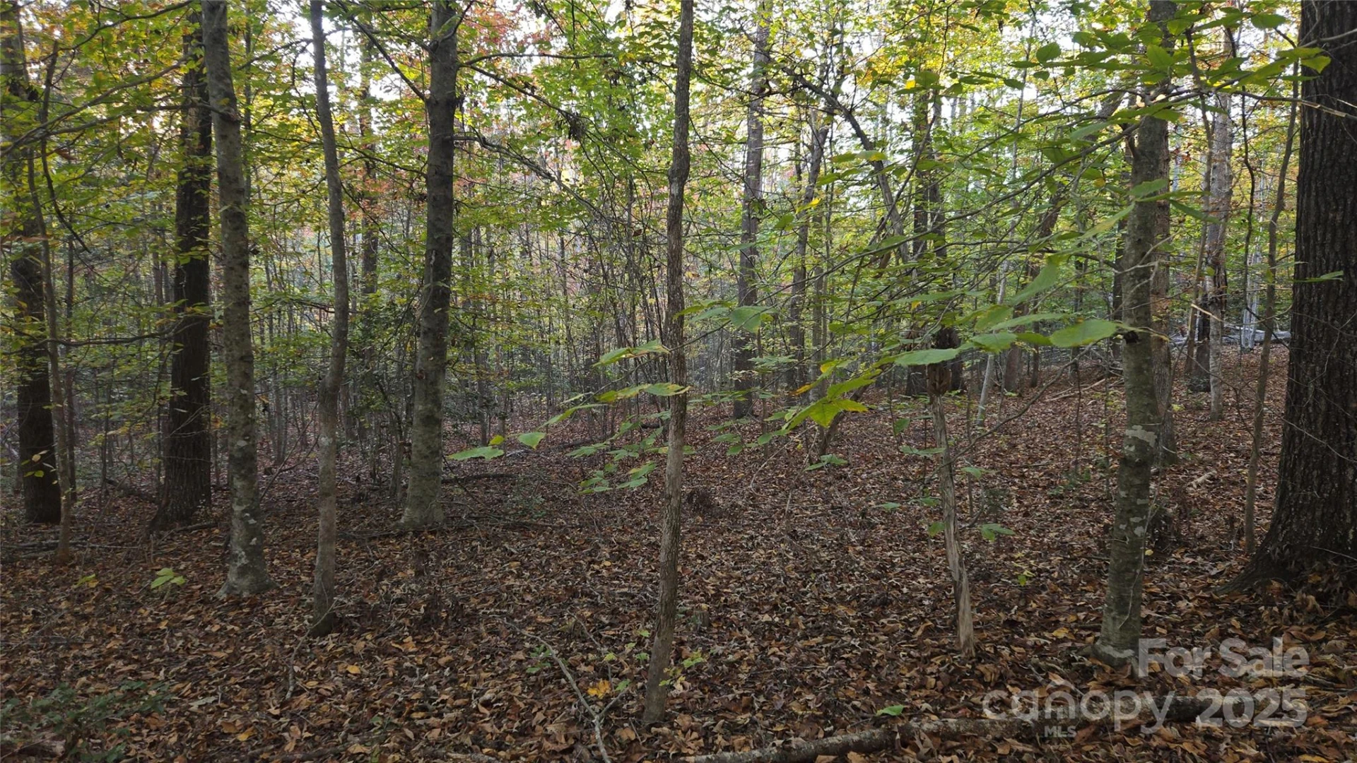 663 Landrum Road - Photo 40