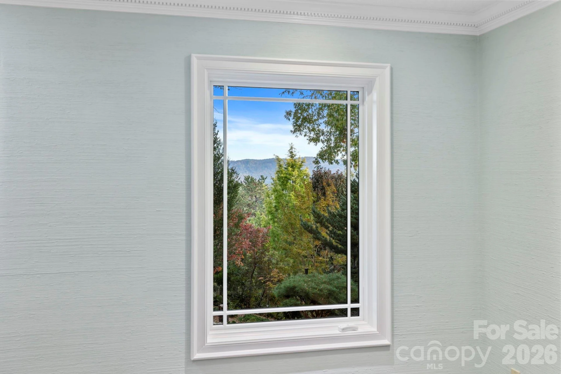 31 Ridge Drive - Photo 24