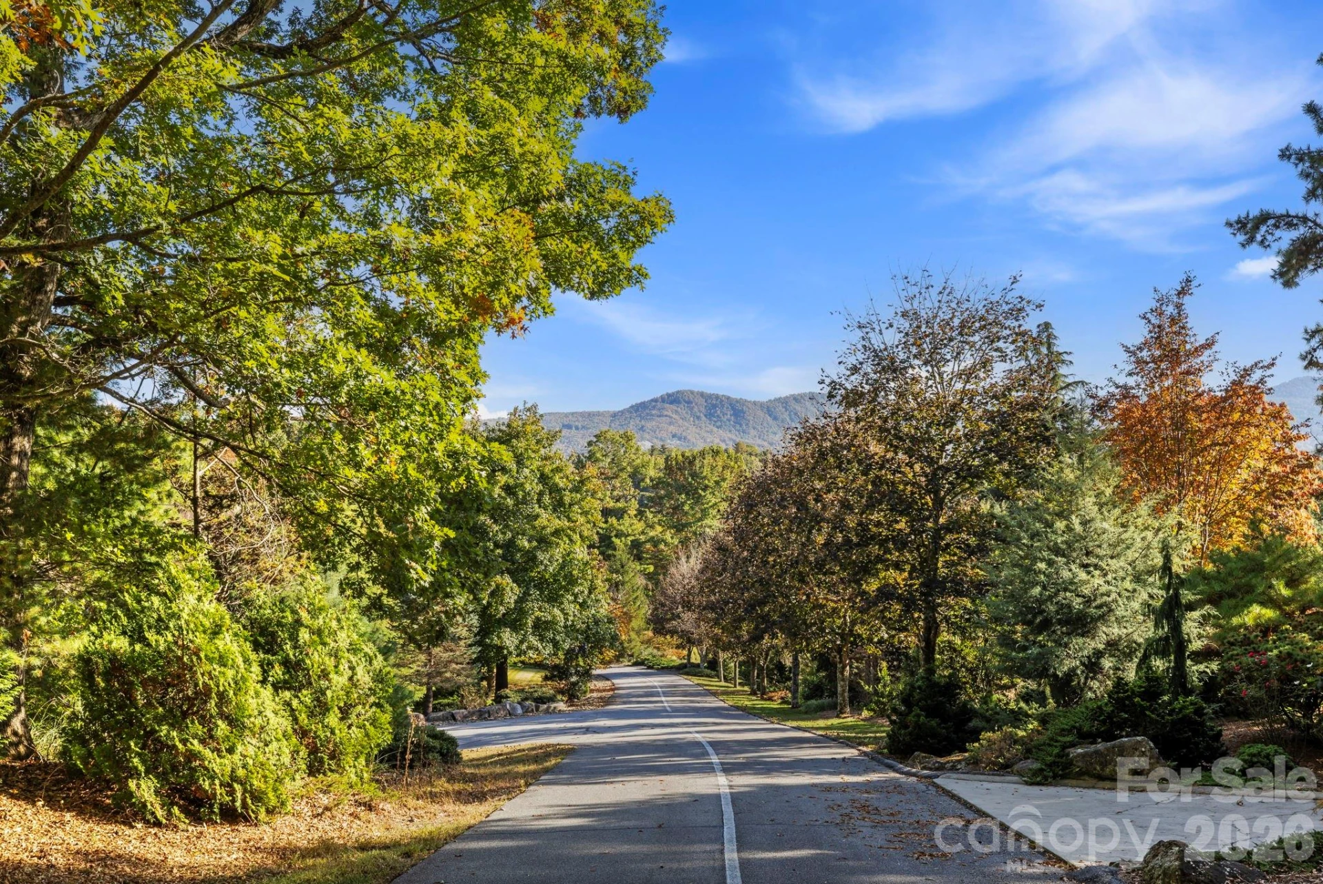 31 Ridge Drive - Photo 40