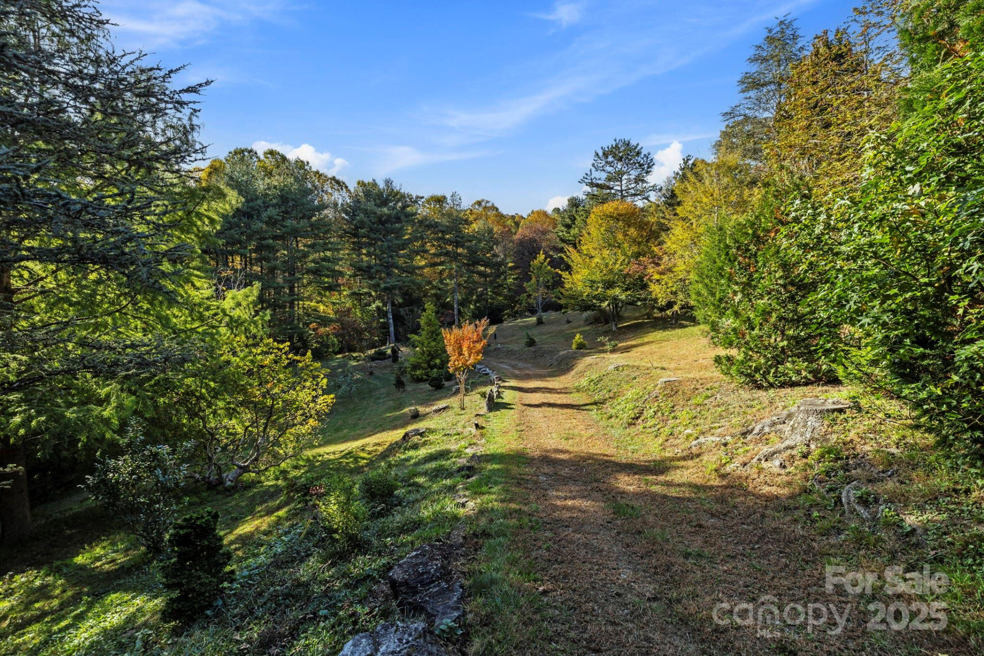 31 Ridge Drive - Photo 43