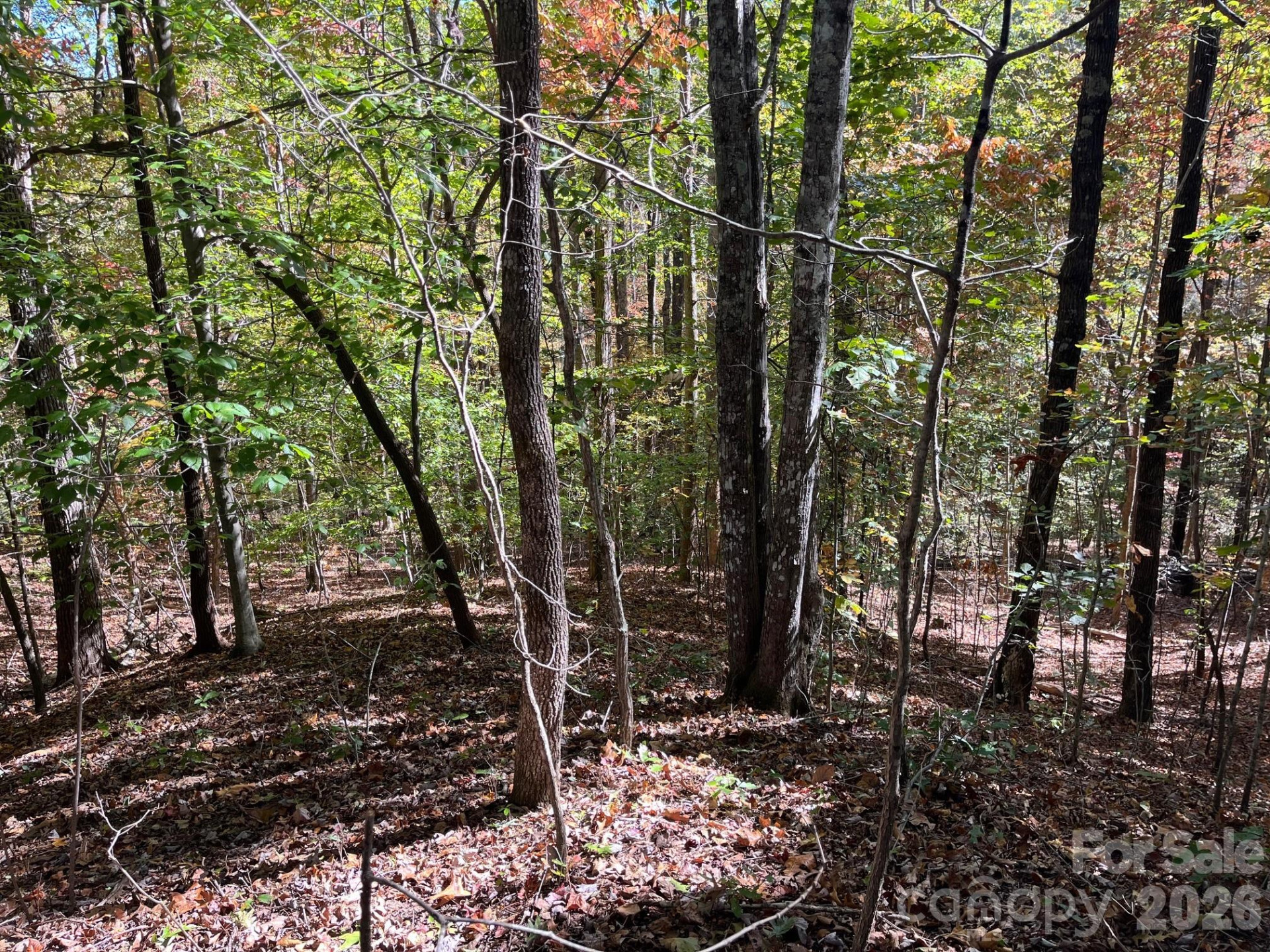 V/L Heartwood Drive - Photo 12