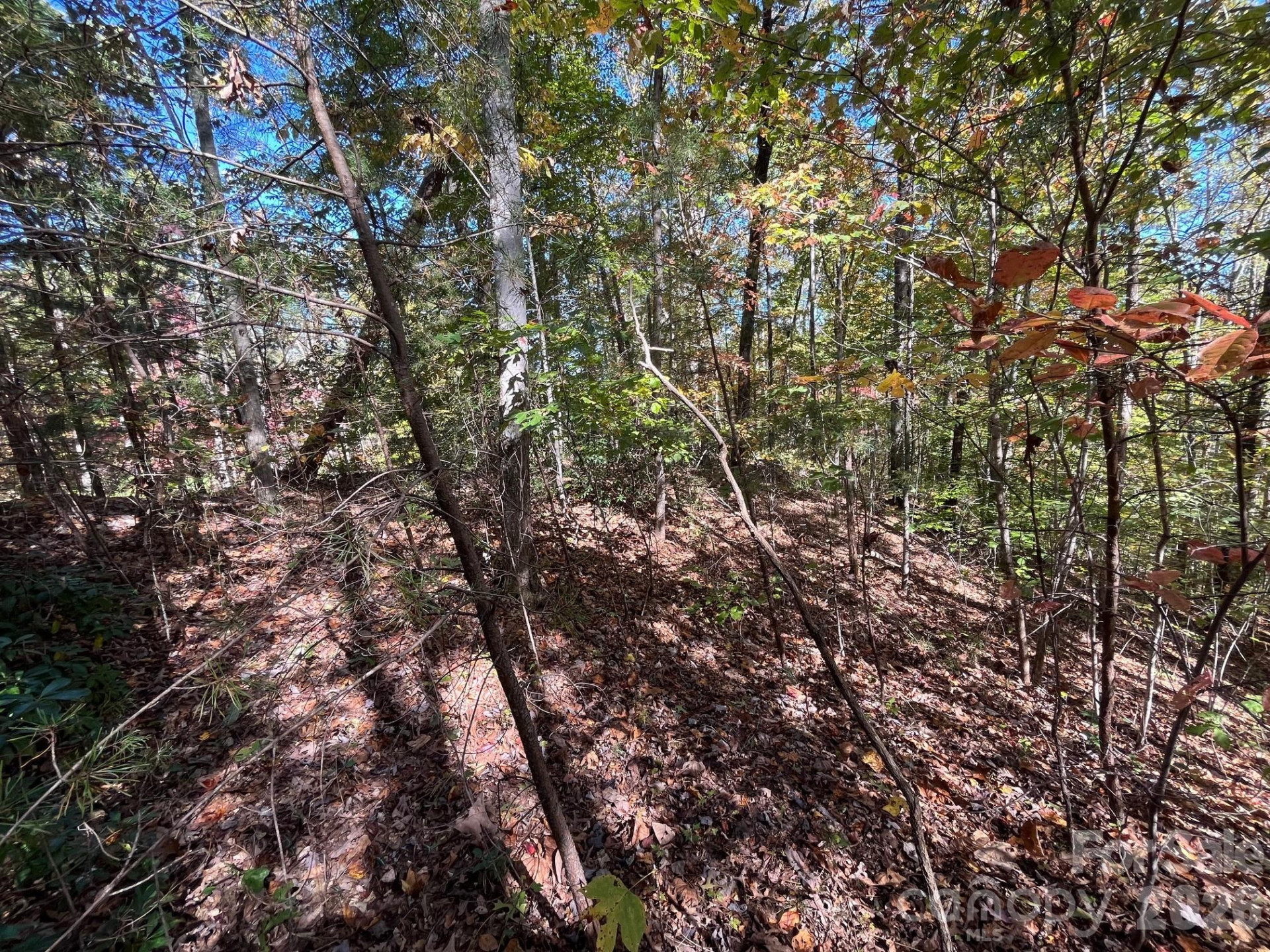 V/L Heartwood Drive - Photo 4