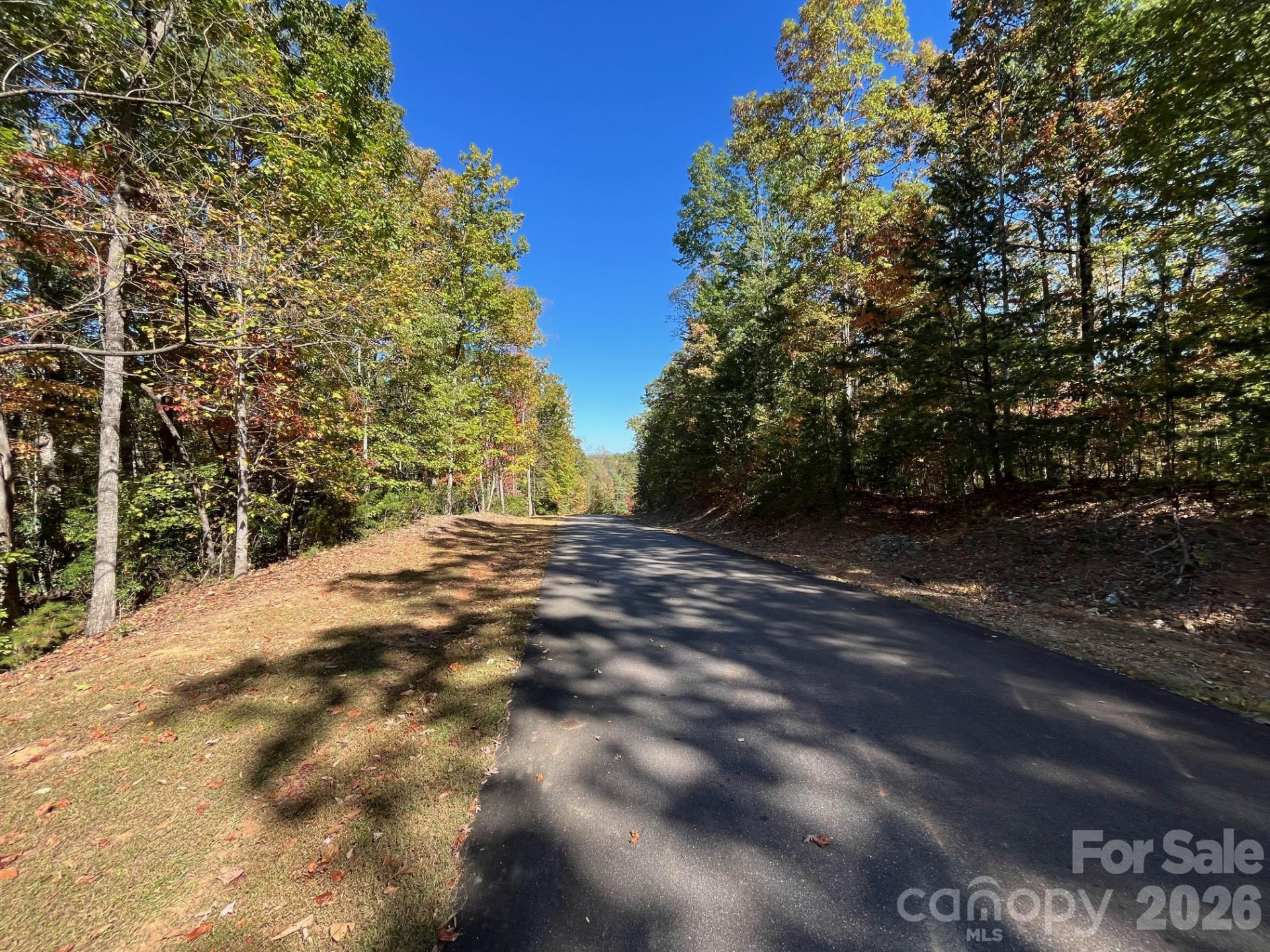 V/L Heartwood Drive - Photo 6