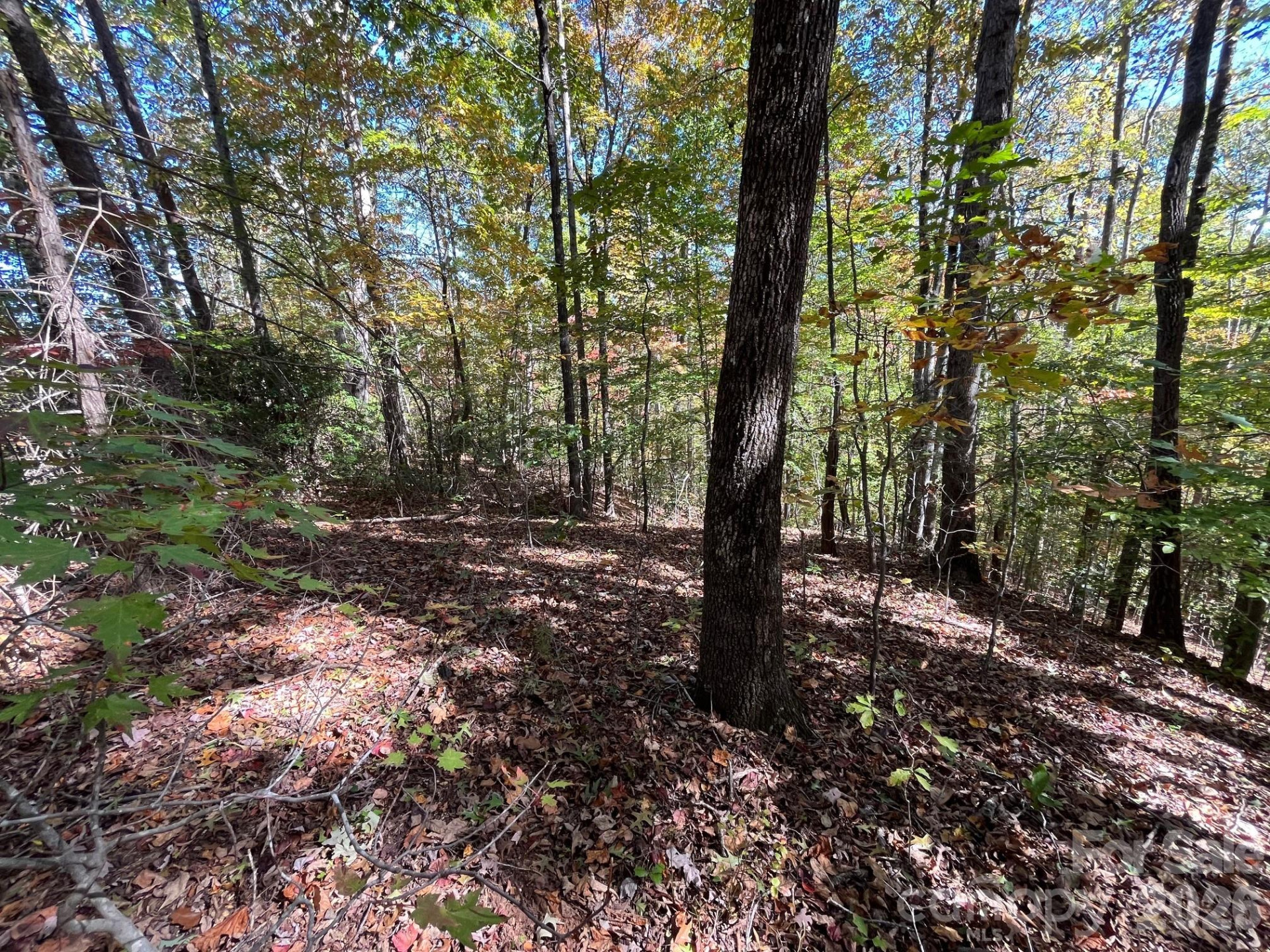 V/L Heartwood Drive - Photo 7