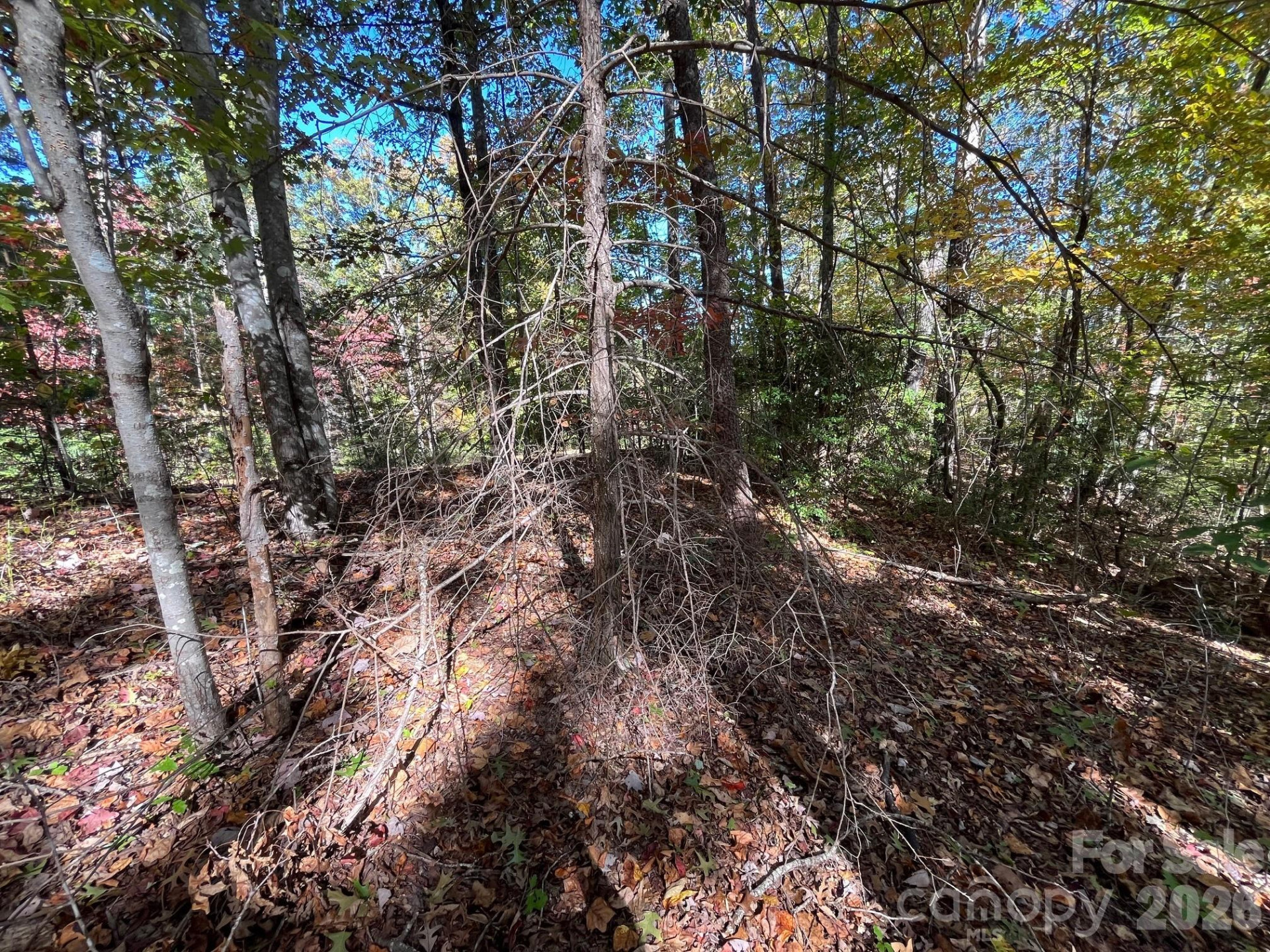 V/L Heartwood Drive - Photo 8