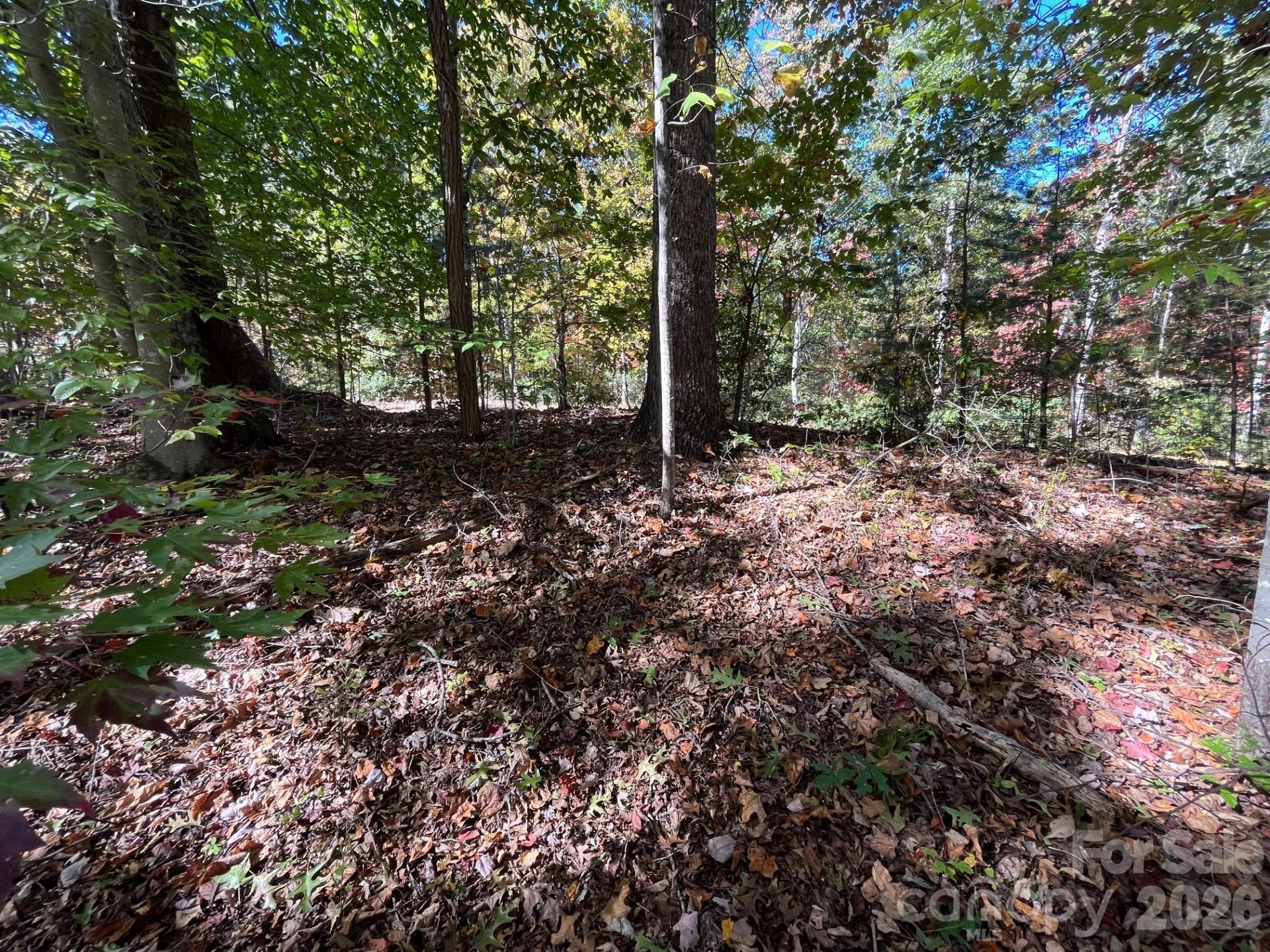 V/L Heartwood Drive - Photo 9