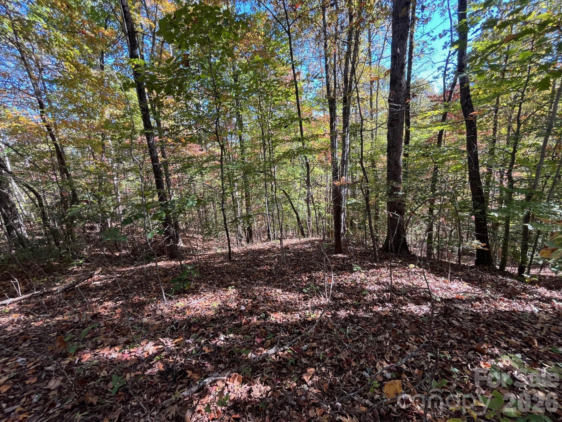 V/L Heartwood Drive - Photo 10