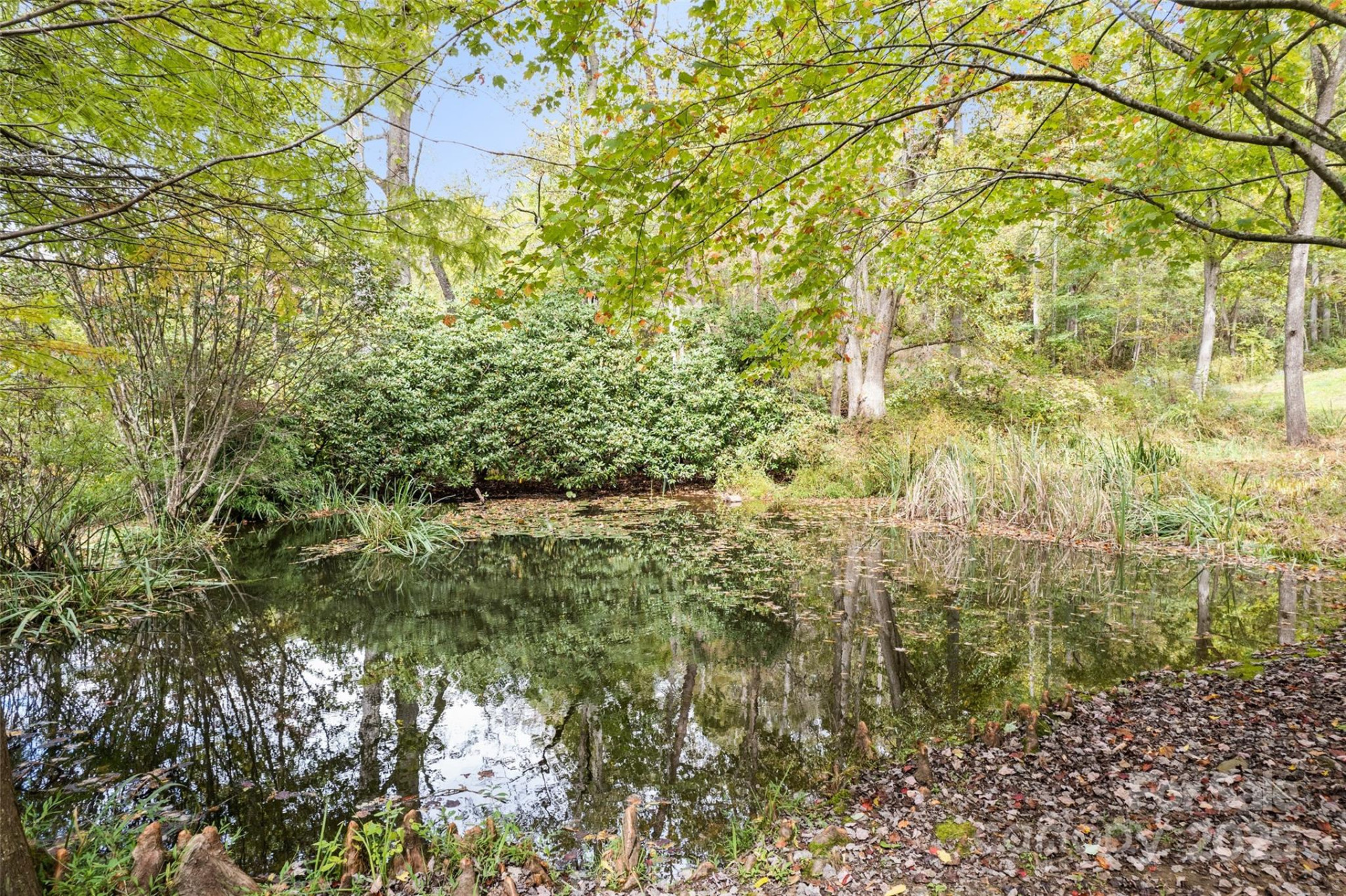 940 Haynes Cove - Photo 6