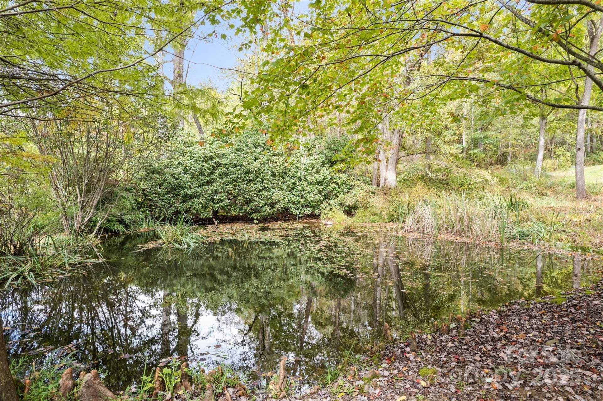 940 Haynes Cove - Photo 6