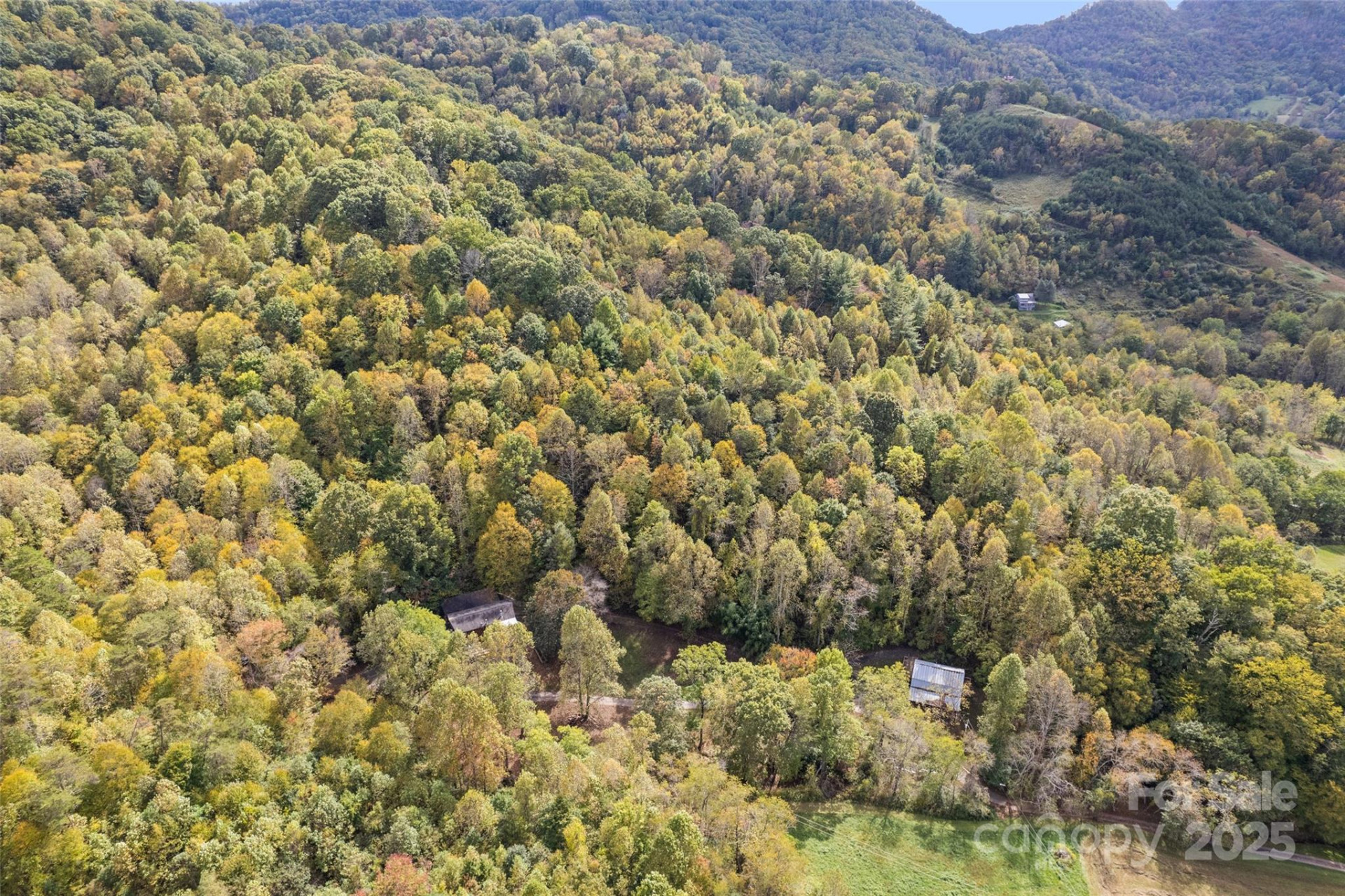 940 Haynes Cove - Photo 8