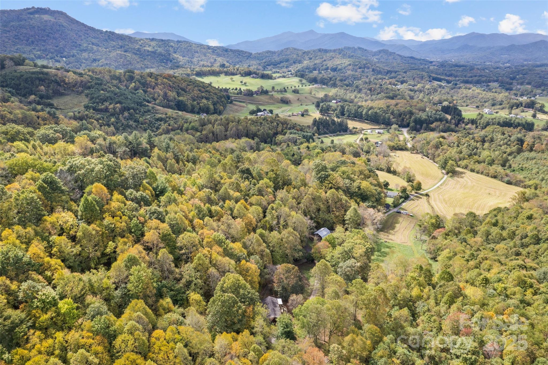 940 Haynes Cove - Photo 9