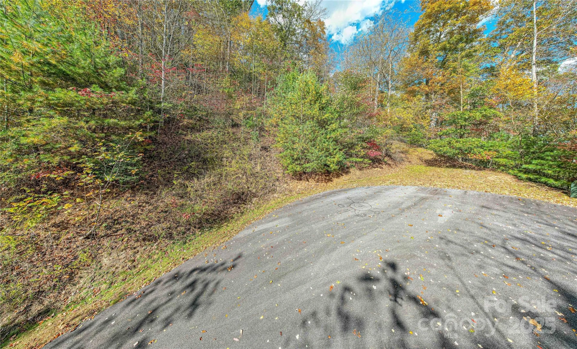 TBD High Point Trail #21