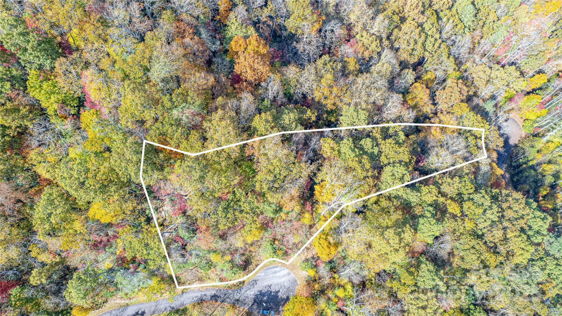 TBD High Point Trail #21 - Photo 2