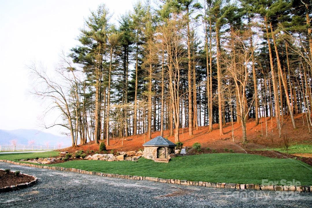 TBD High Point Trail #21 - Photo 13