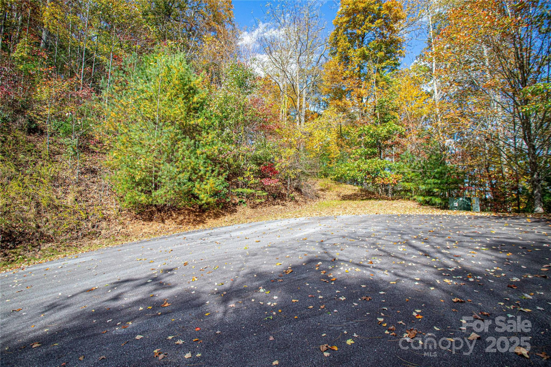 TBD High Point Trail #21 - Photo 6