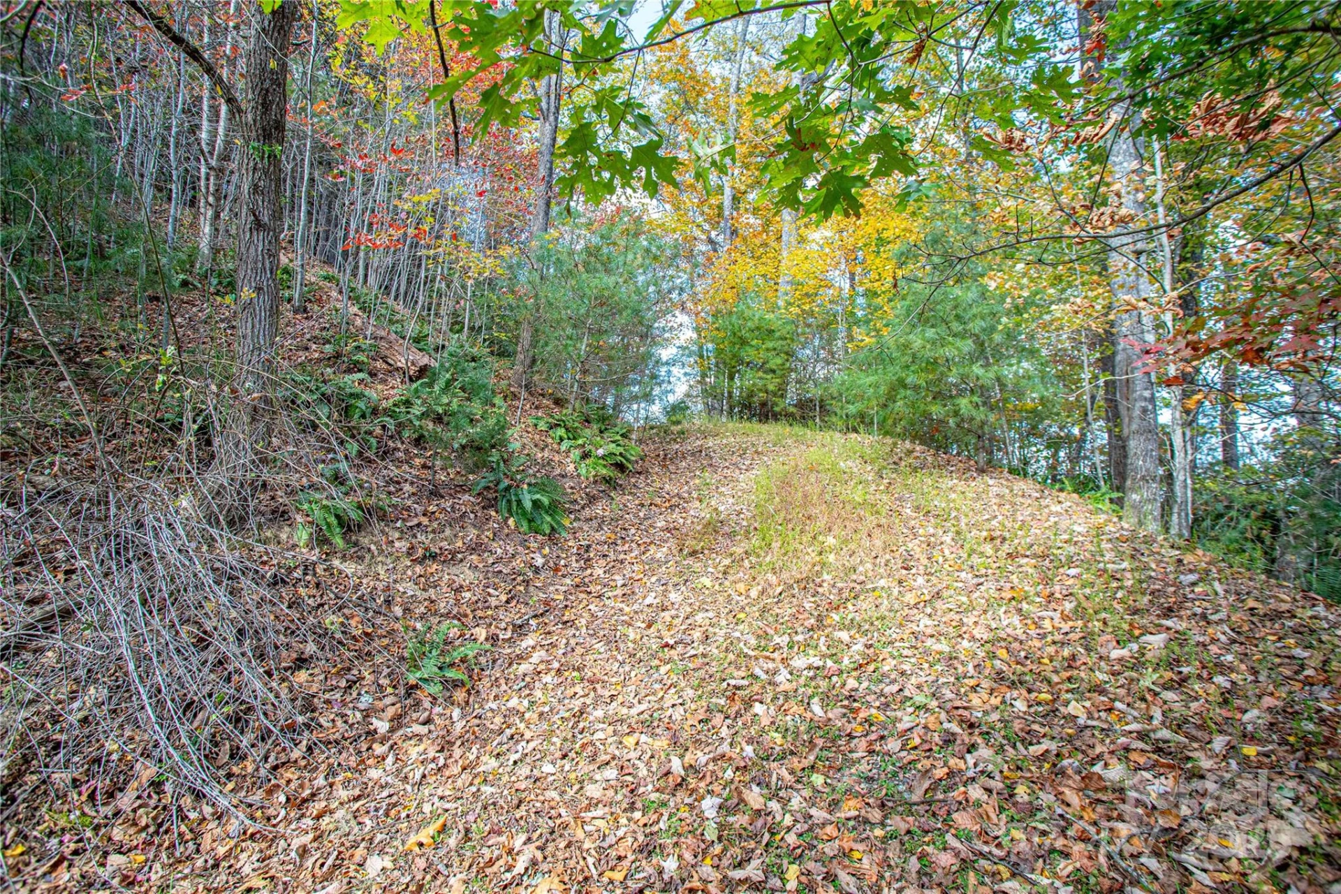TBD High Point Trail #21 - Photo 7