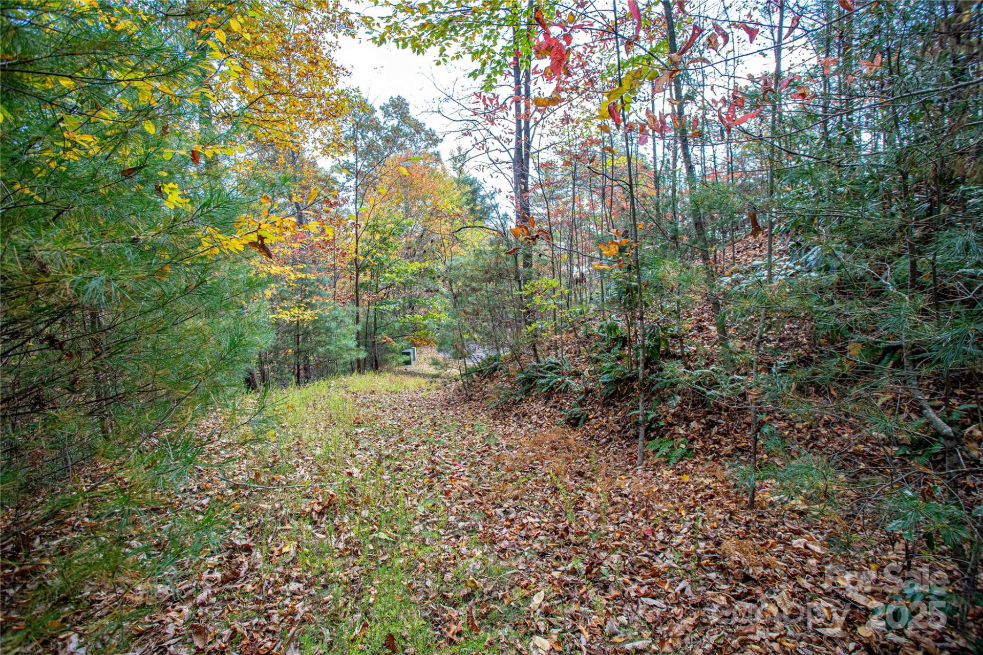 TBD High Point Trail #21 - Photo 8