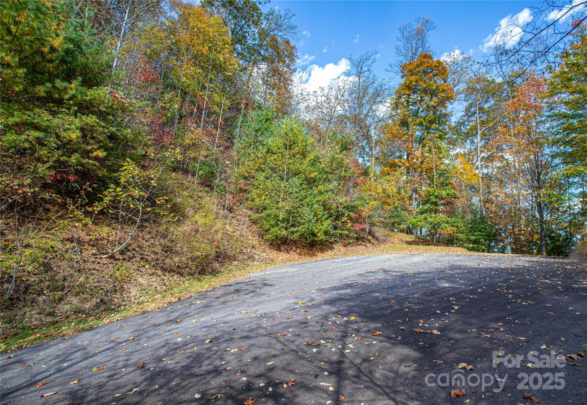 TBD High Point Trail #21 - Photo 10