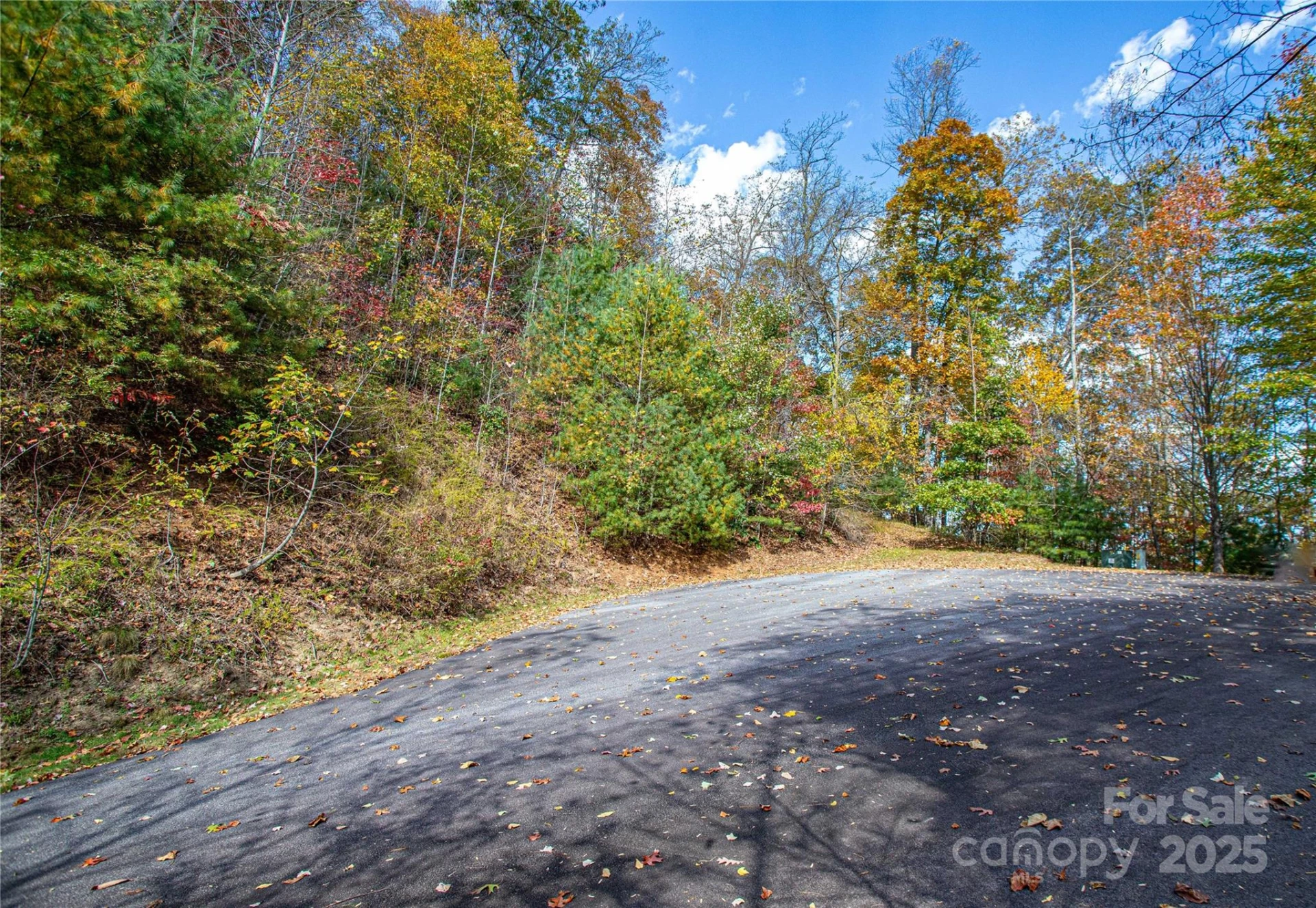 TBD High Point Trail #21 - Photo 10