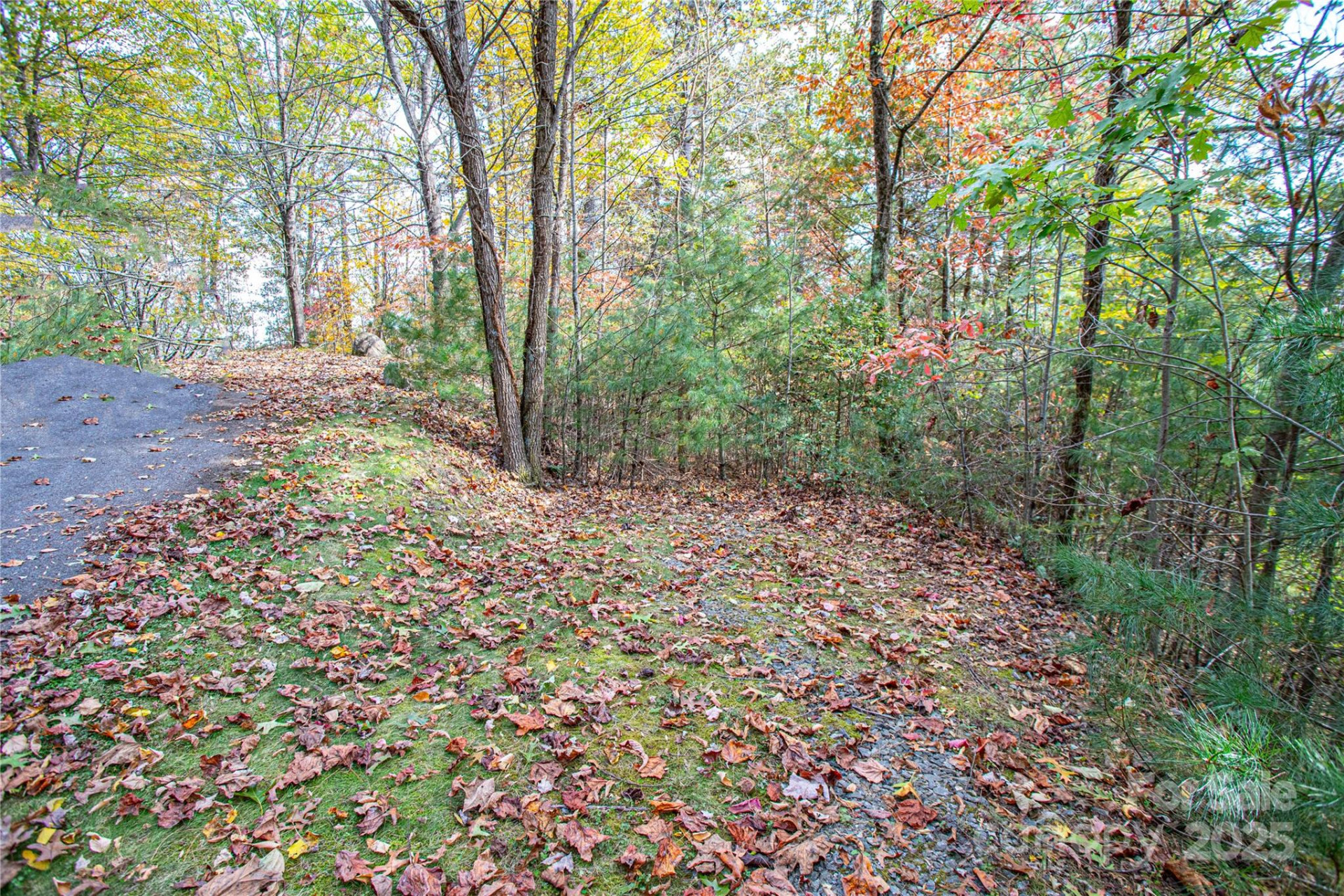 TBD High Point Trail #24 - Photo 2