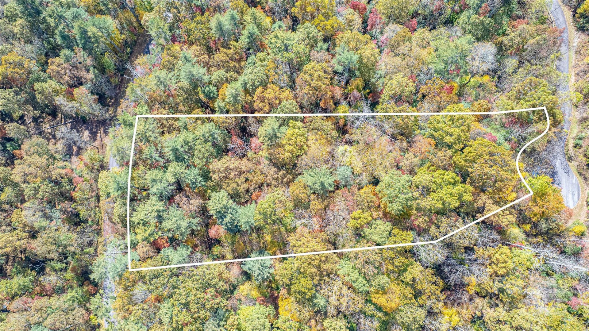 TBD High Point Trail #24 - Photo 3