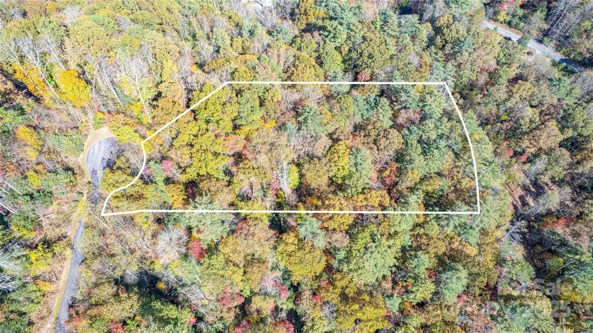 TBD High Point Trail #24 - Photo 4