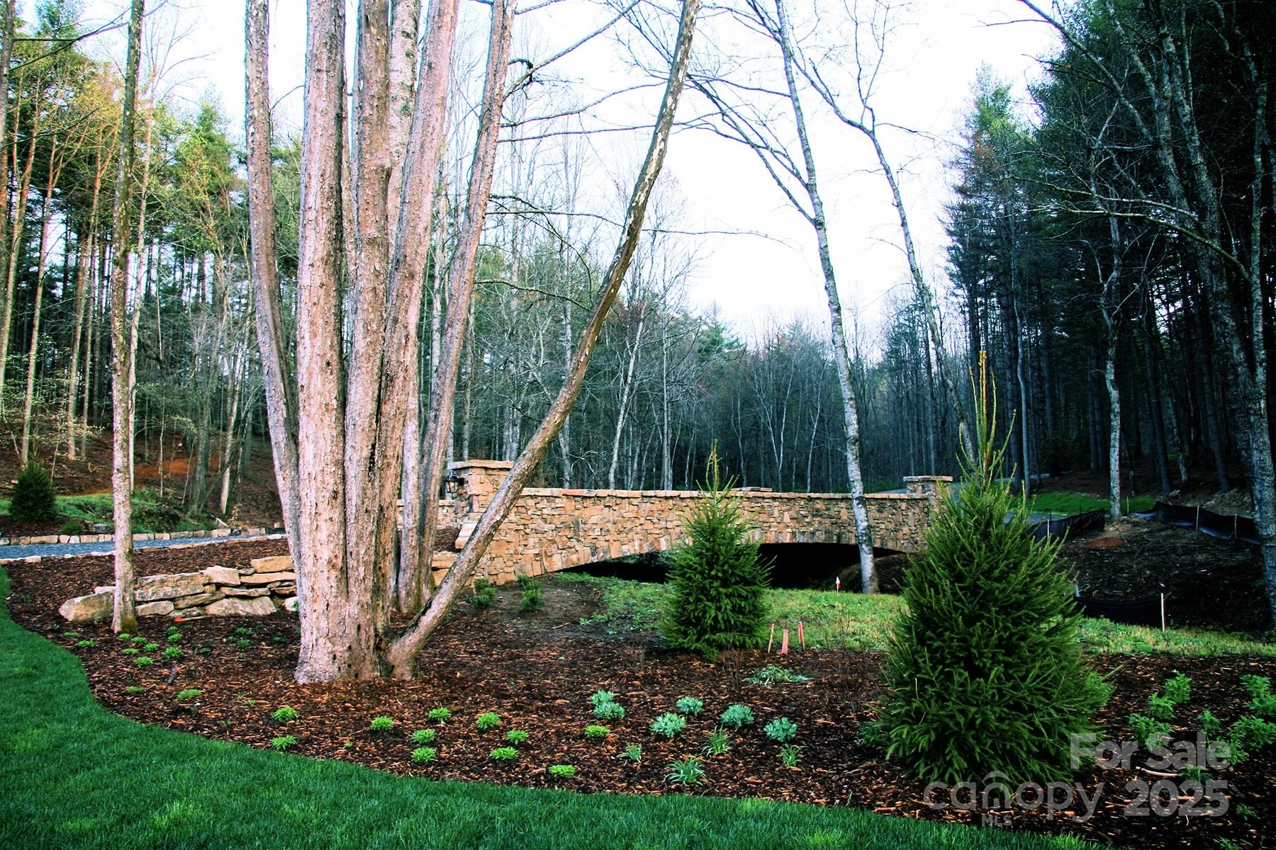 TBD High Point Trail #24 - Photo 7