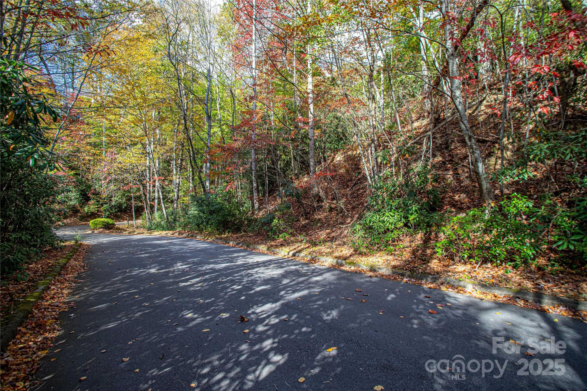 TBD Stone Drive #11 - Photo 2