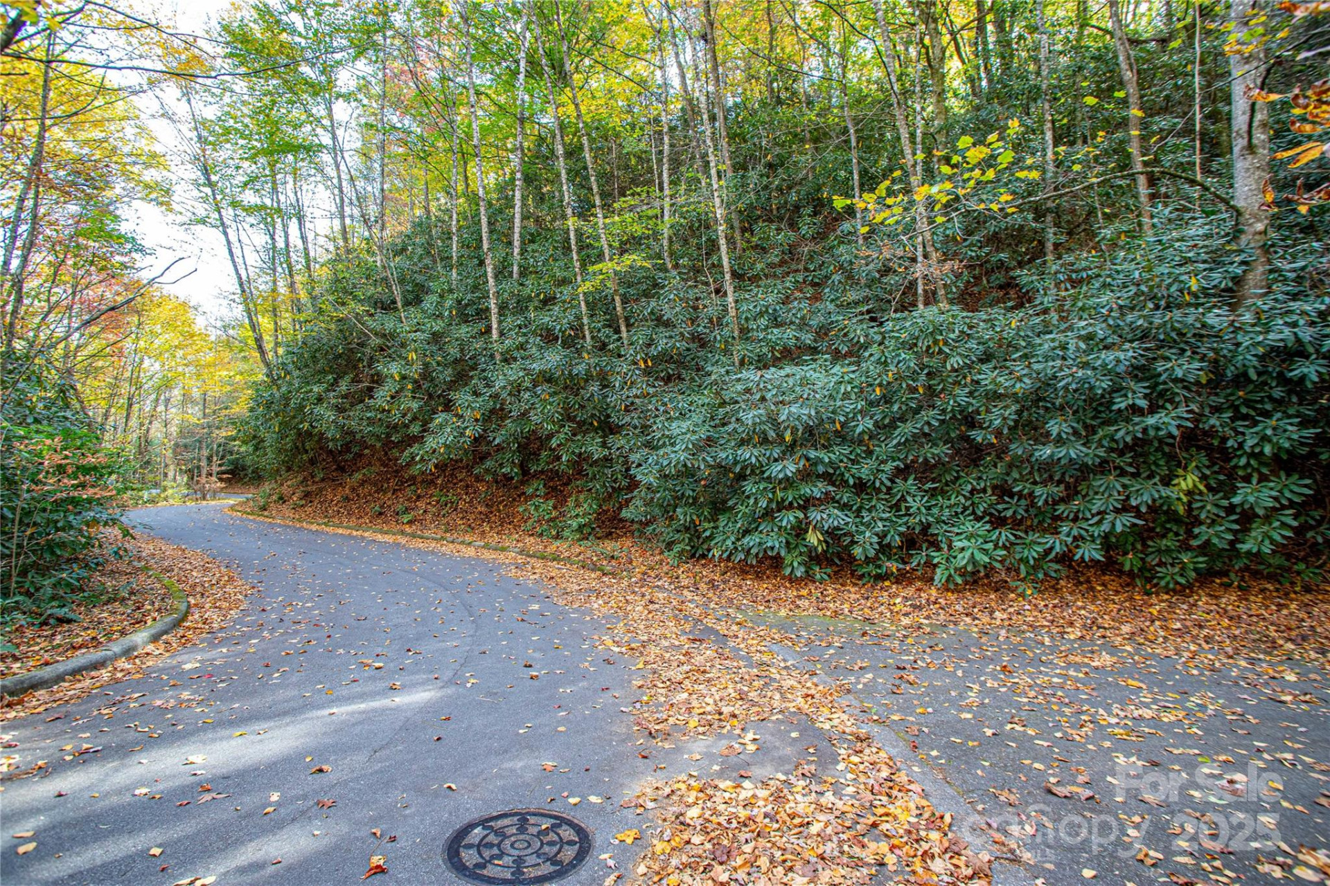 TBD Stone Drive #13 - Photo 6