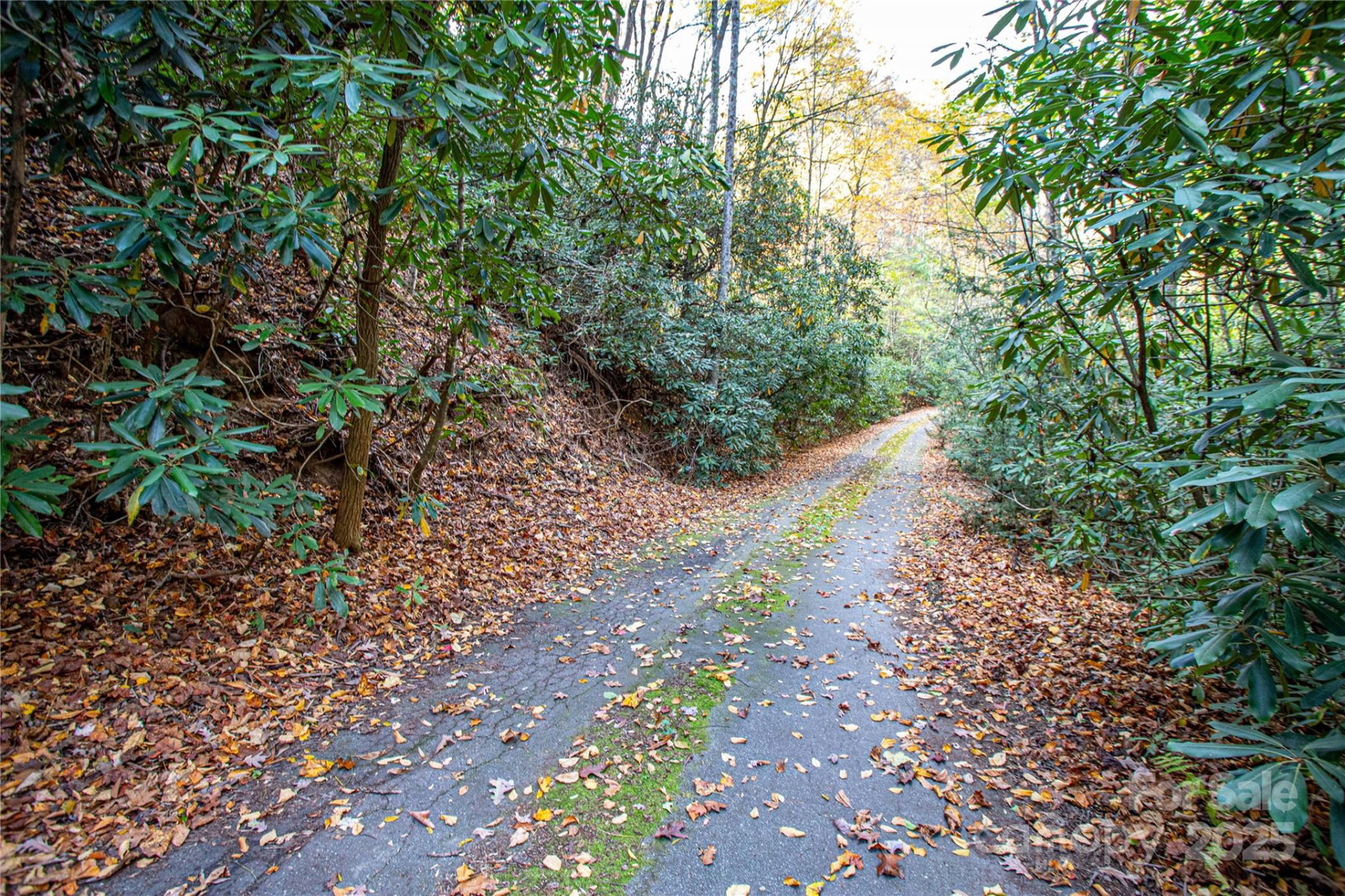 TBD Stone Drive #13 - Photo 7