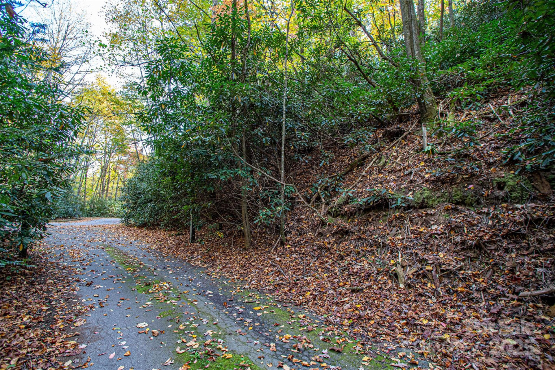 TBD Stone Drive #13 - Photo 8