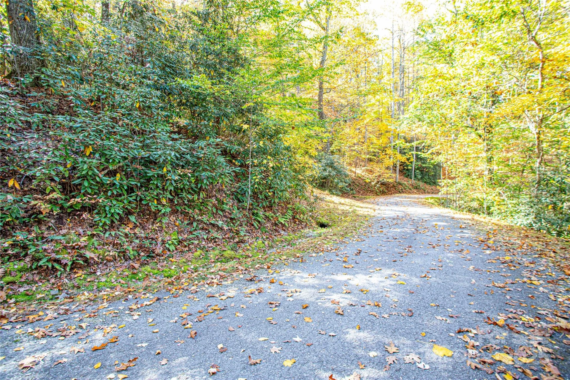 TBD Reserve Road #9A - Photo 2