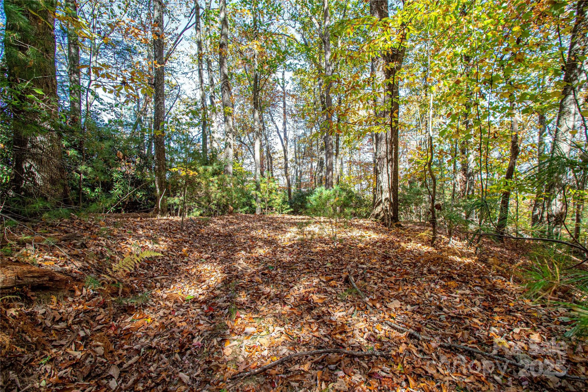 TBD Reserve Road #9A - Photo 11