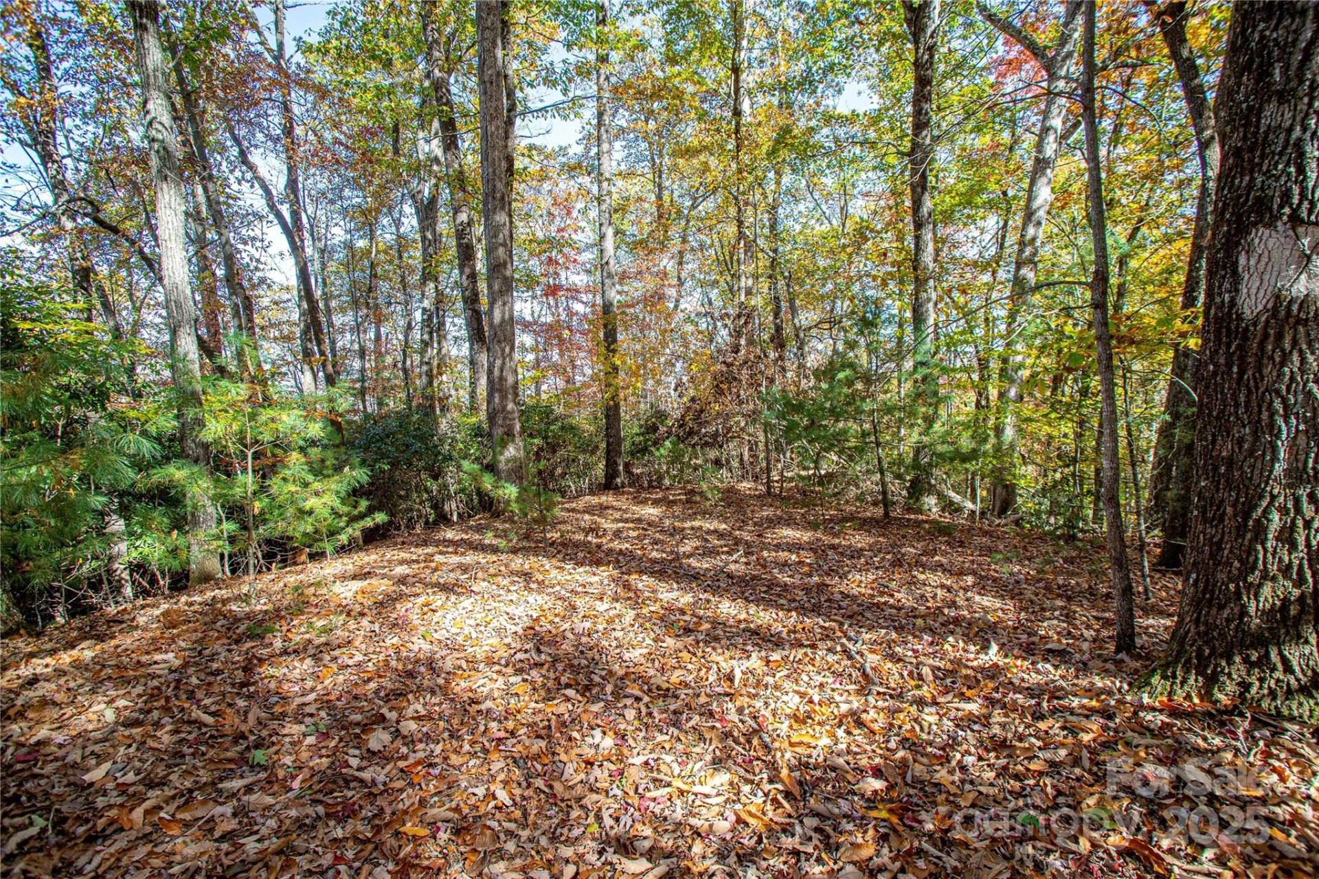TBD Reserve Road #9A - Photo 12