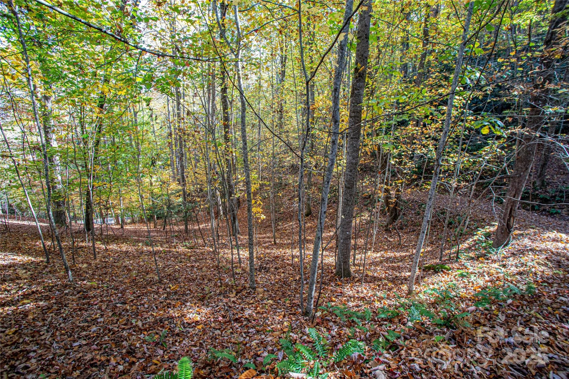 TBD Reserve Road #9A - Photo 13