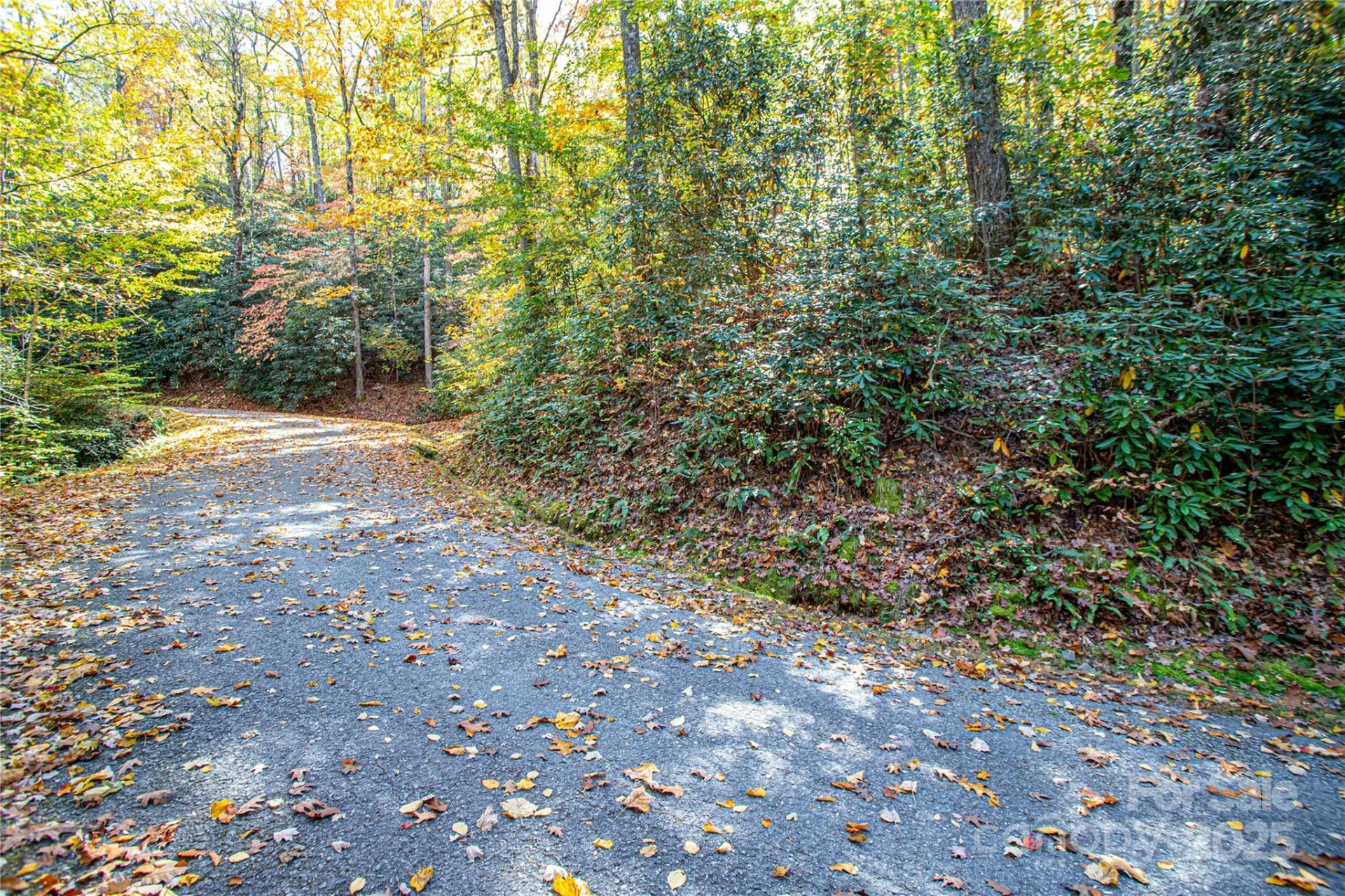TBD Reserve Road #9A - Photo 14
